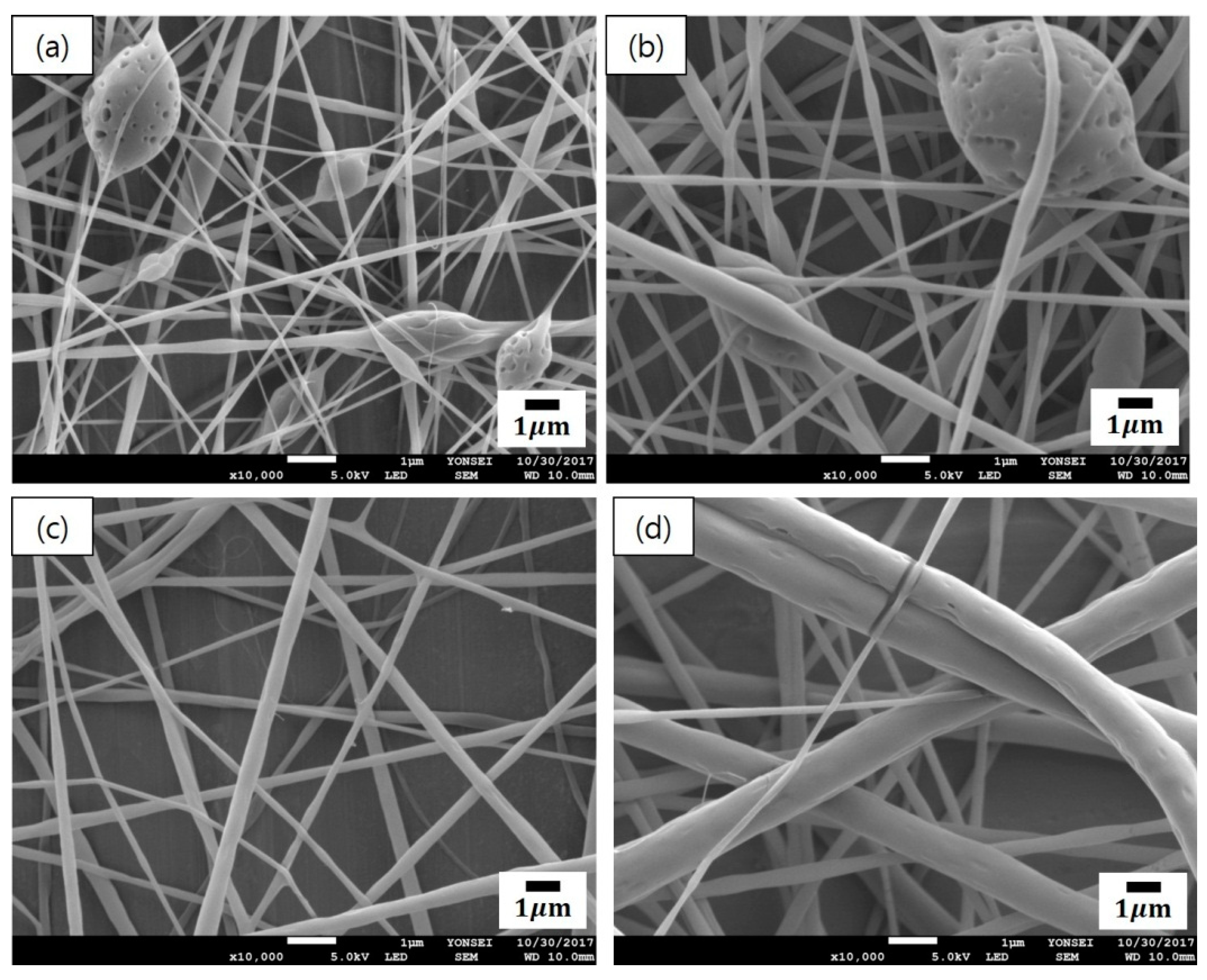 Polymers 12 00243 g002