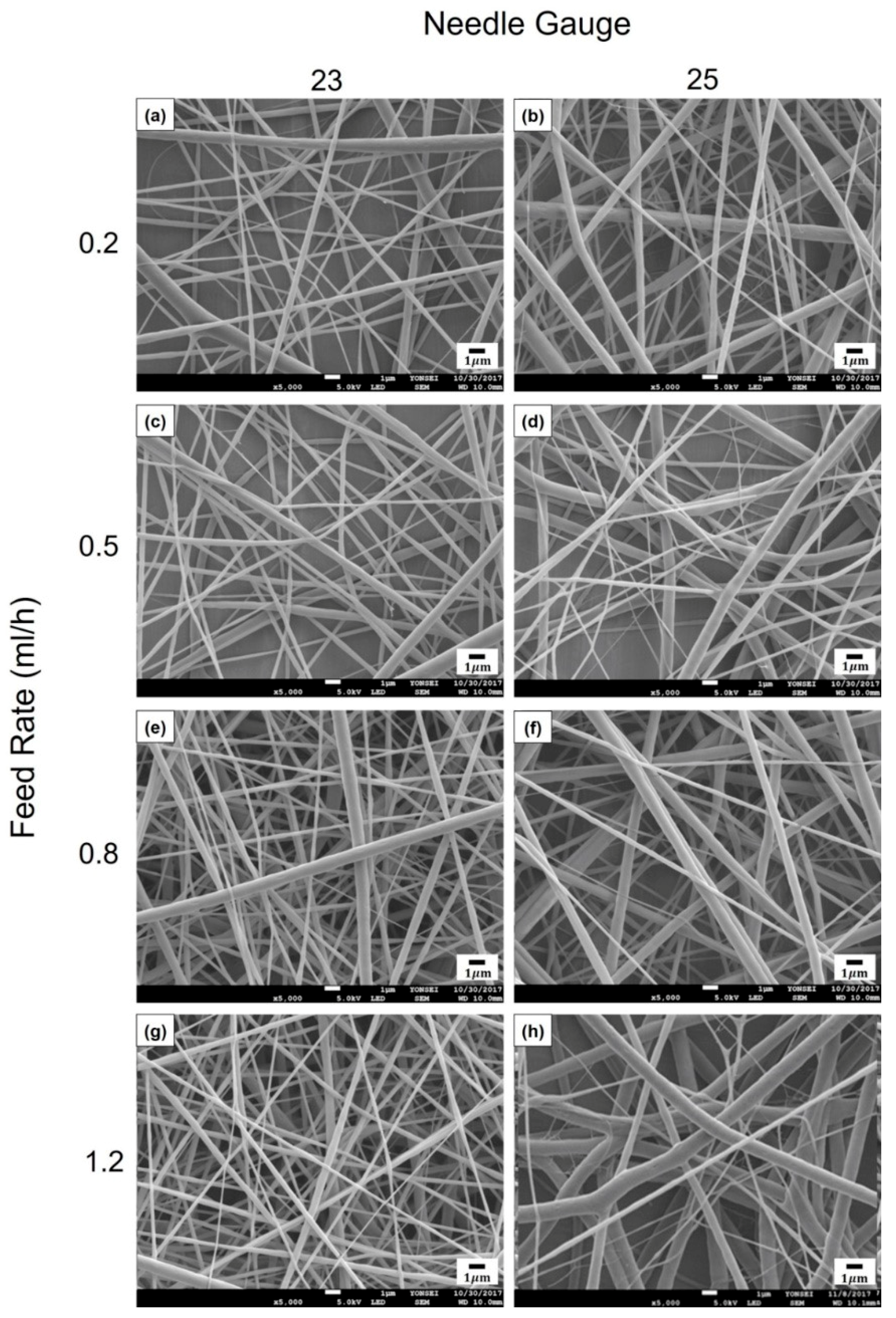 Polymers 12 00243 g003