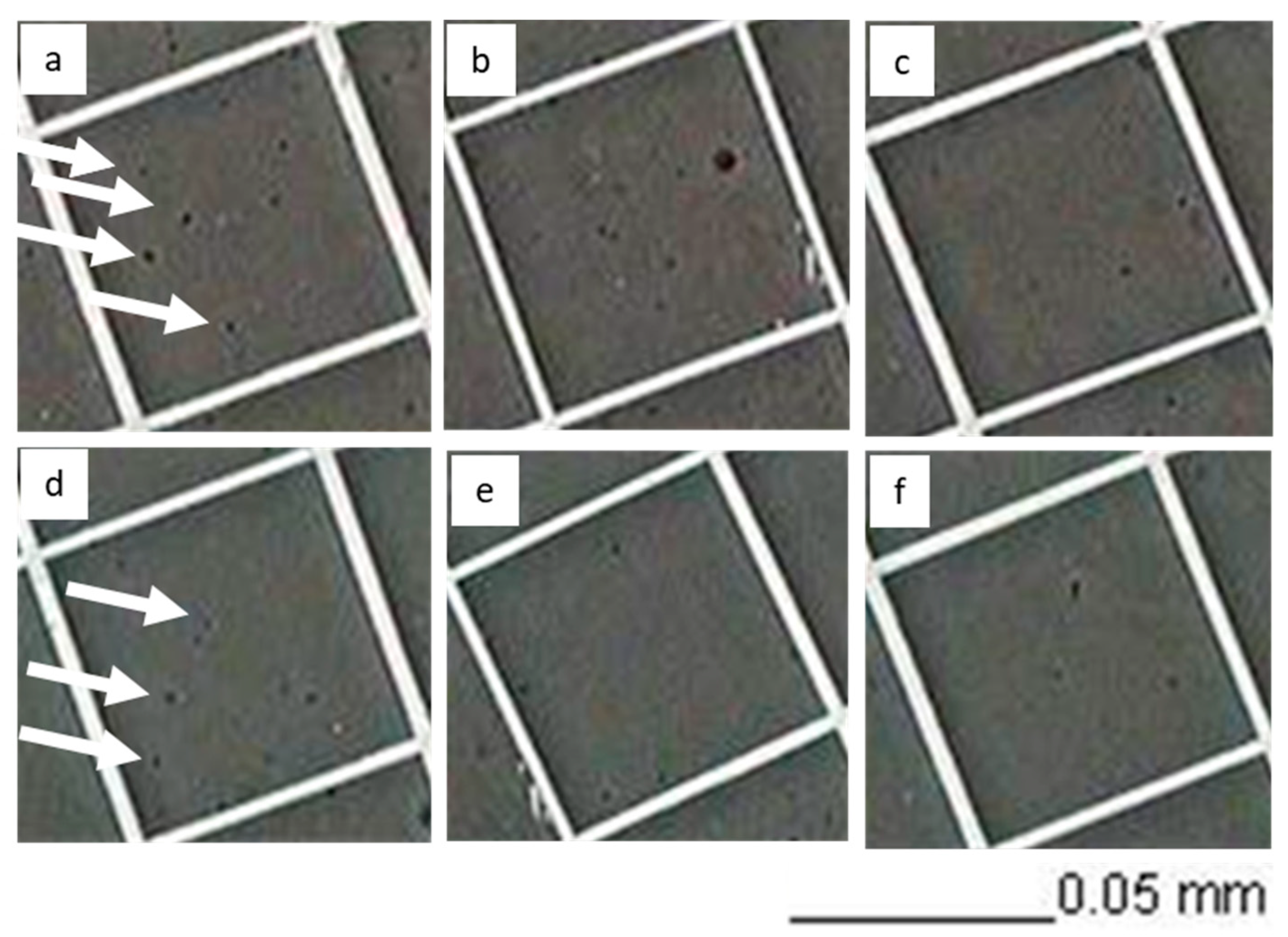 Polymers 12 00245 g005