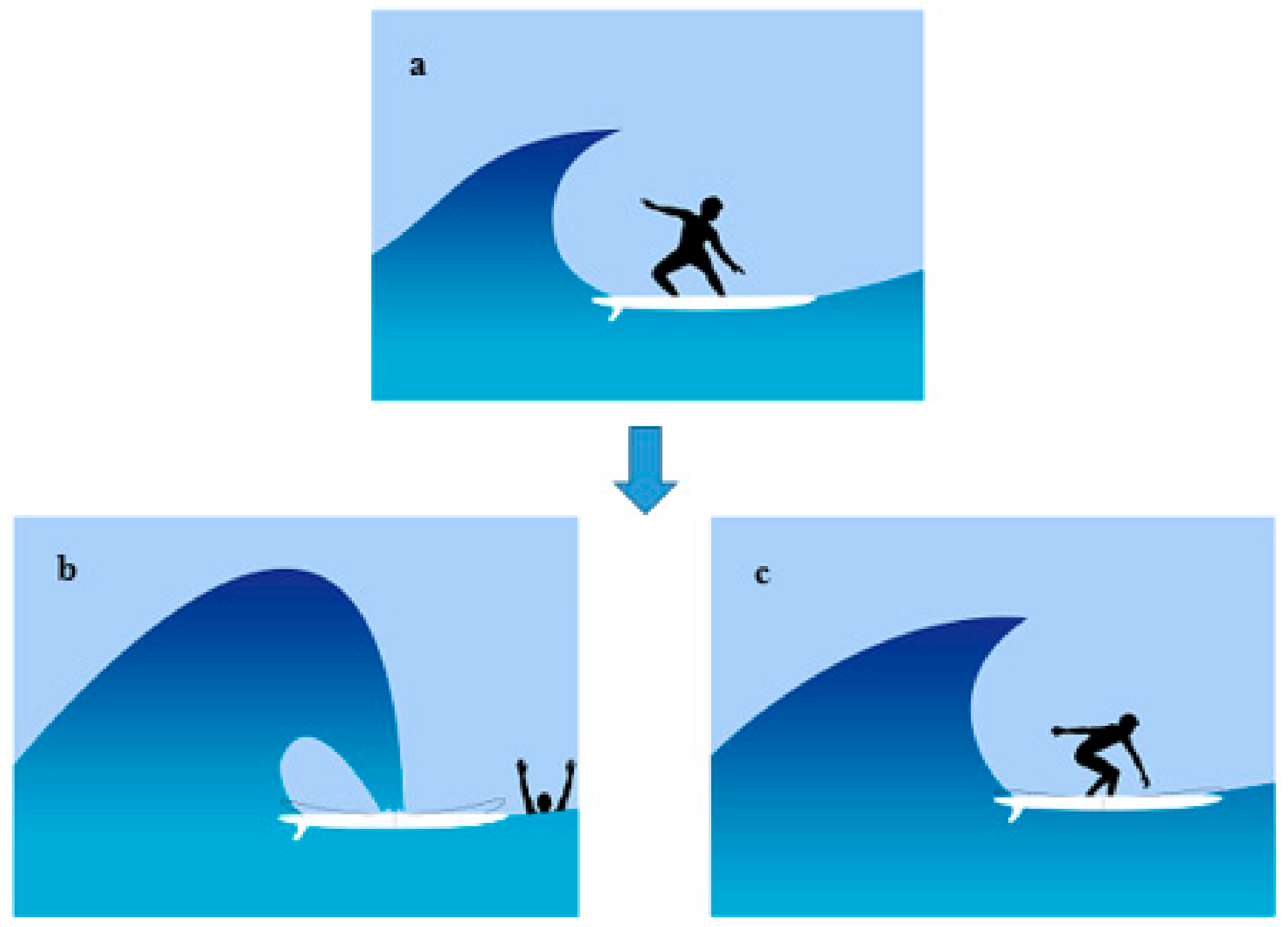 Polymers 12 00250 g007