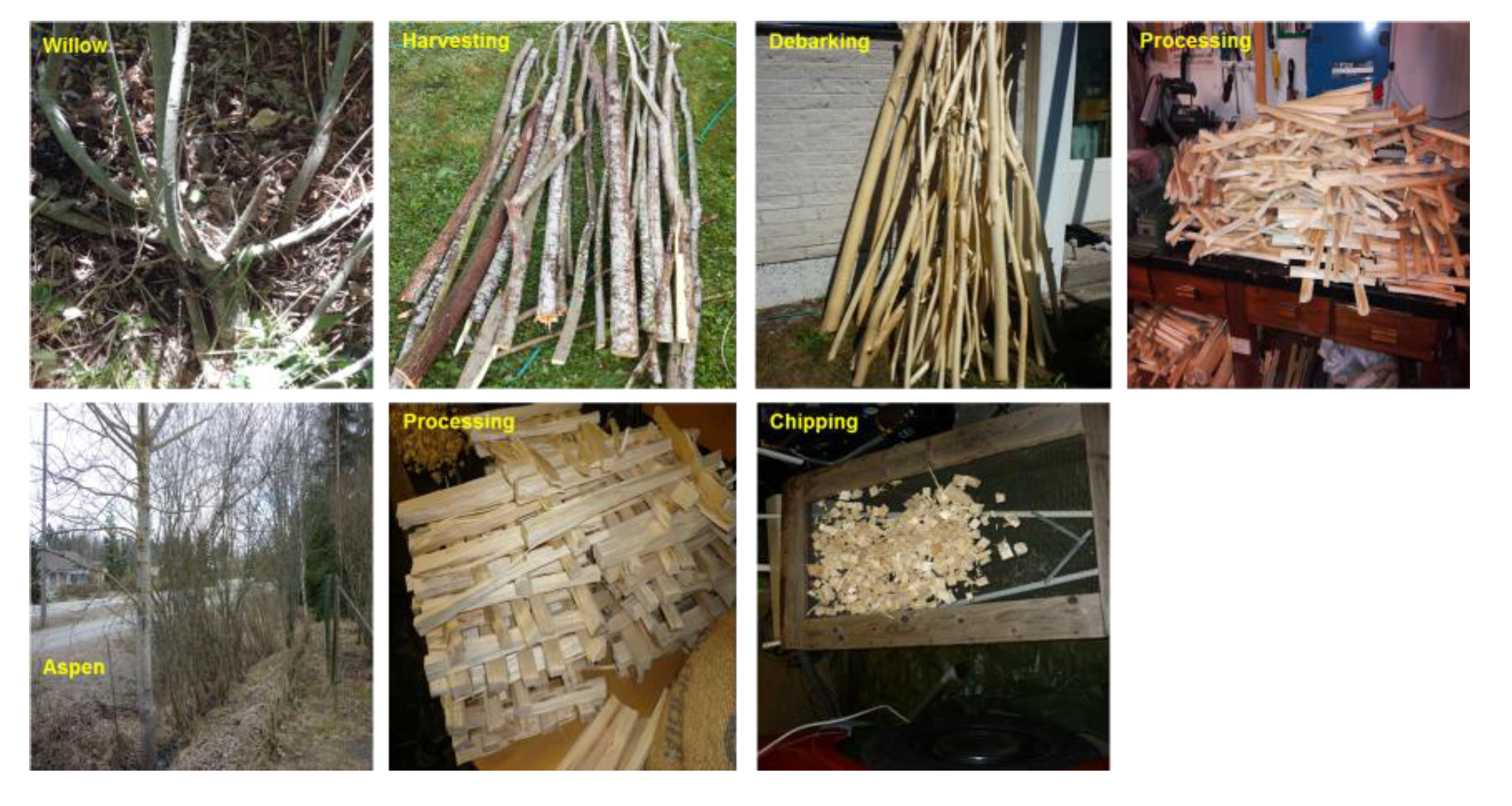 Polymers 12 00257 g001 Polymers 12 00257 g001