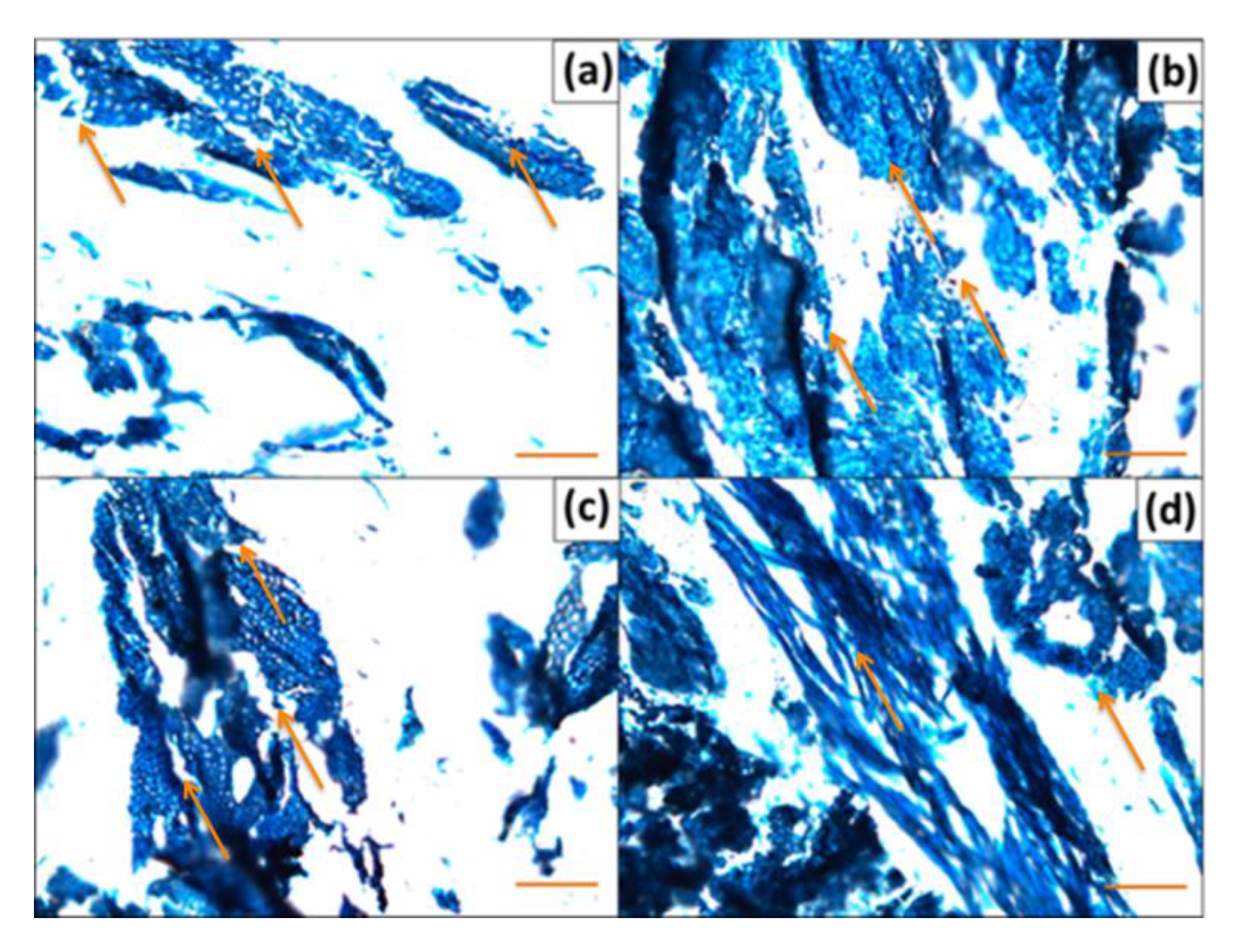 Polymers 12 00257 g010 Polymers 12 00257 g010