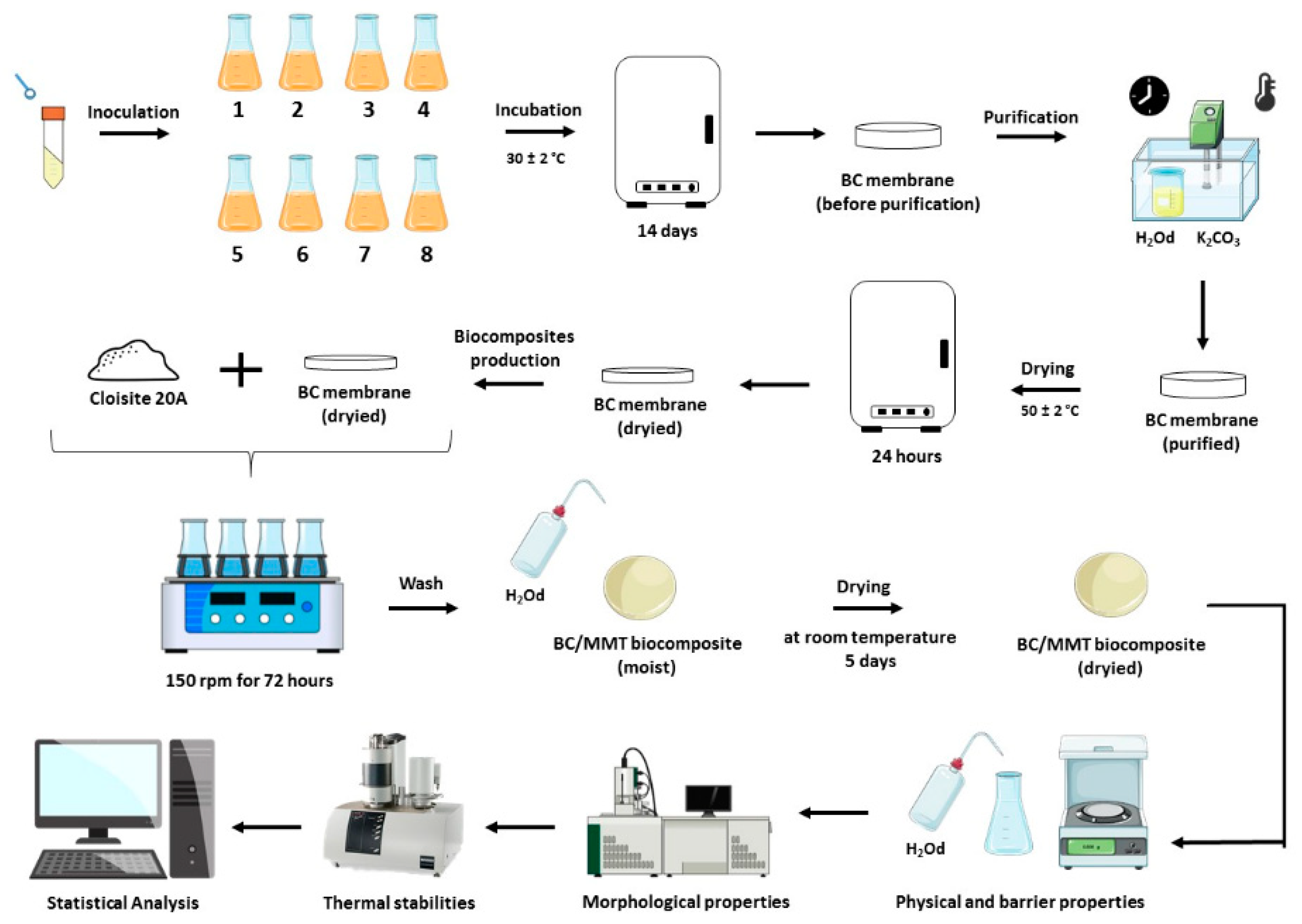 Polymers 12 00267 g001