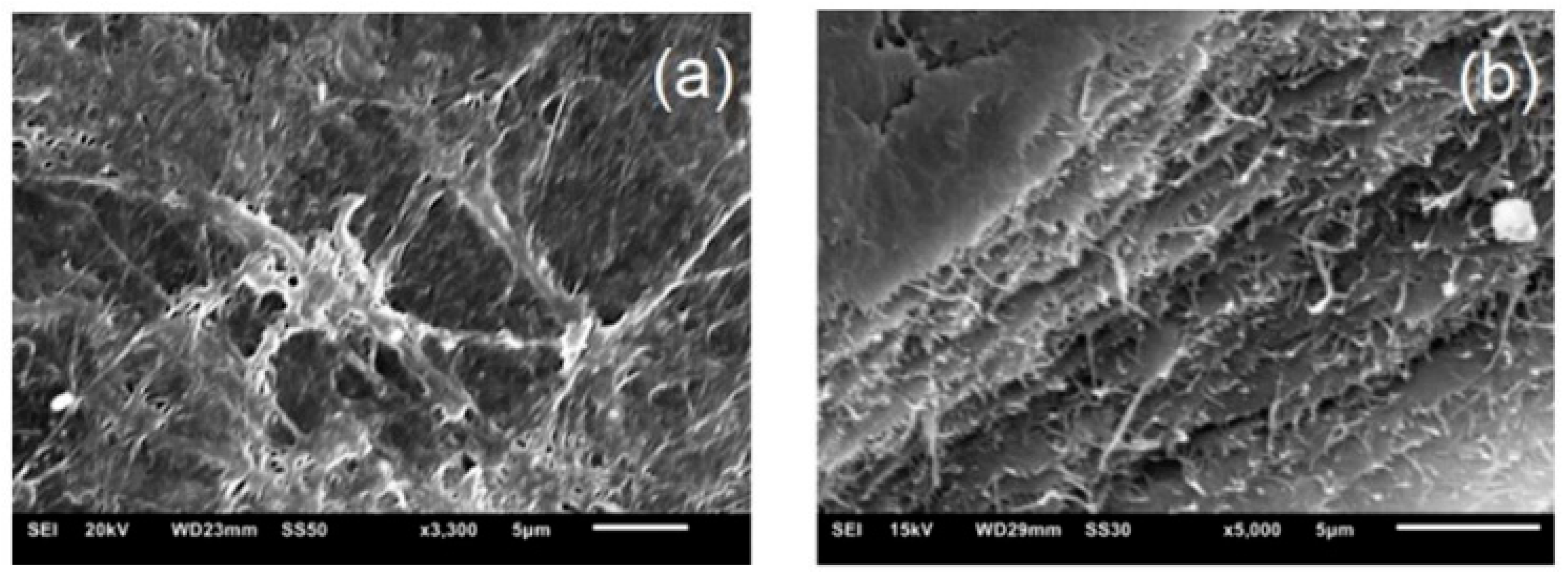 Polymers 12 00267 g006