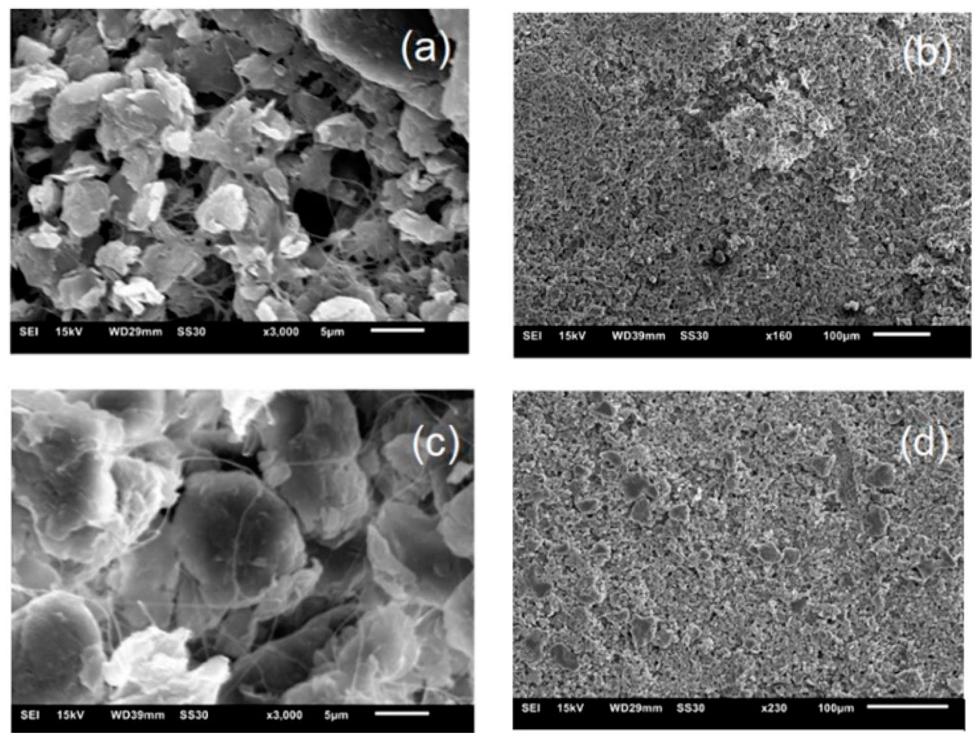 Polymers 12 00267 g007
