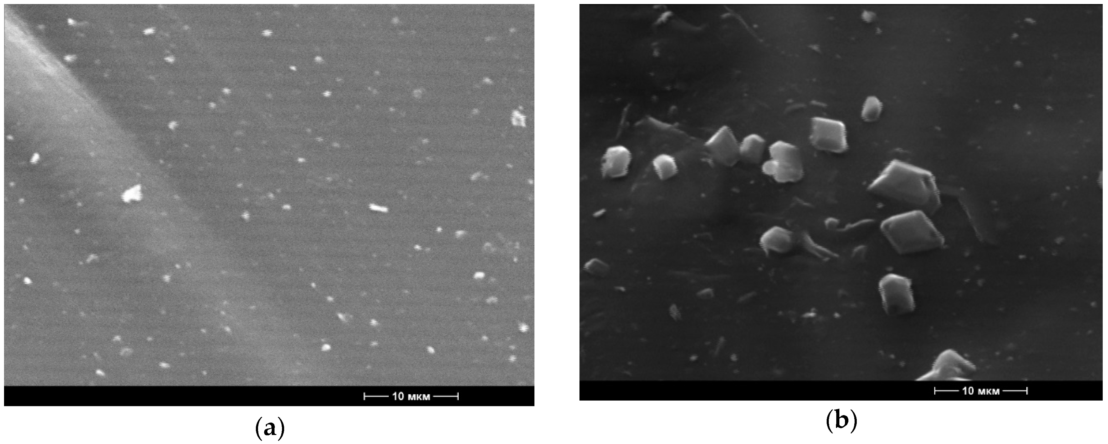 Polymers 12 00275 g003 Polymers 12 00275 g003
