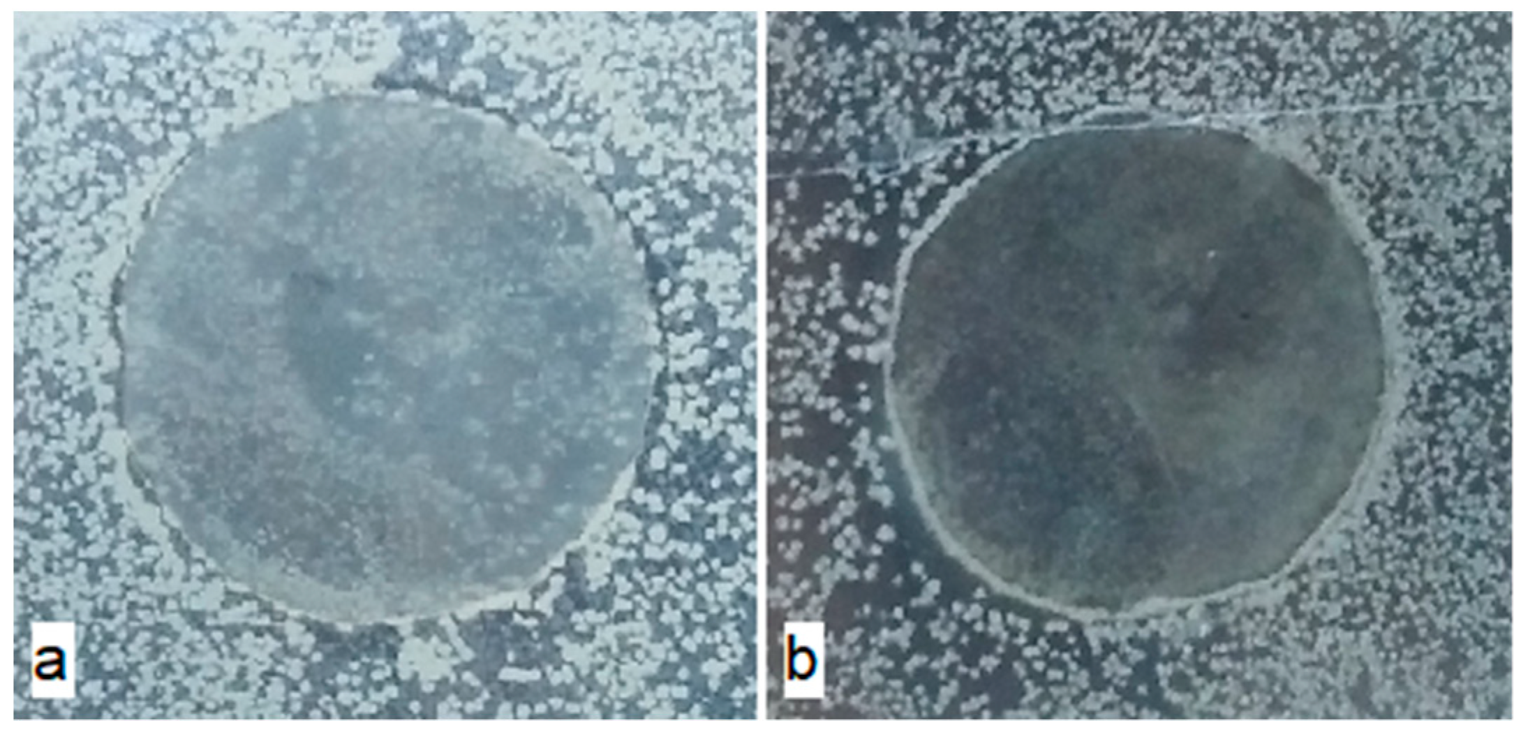 Polymers 12 00275 g007 Polymers 12 00275 g007