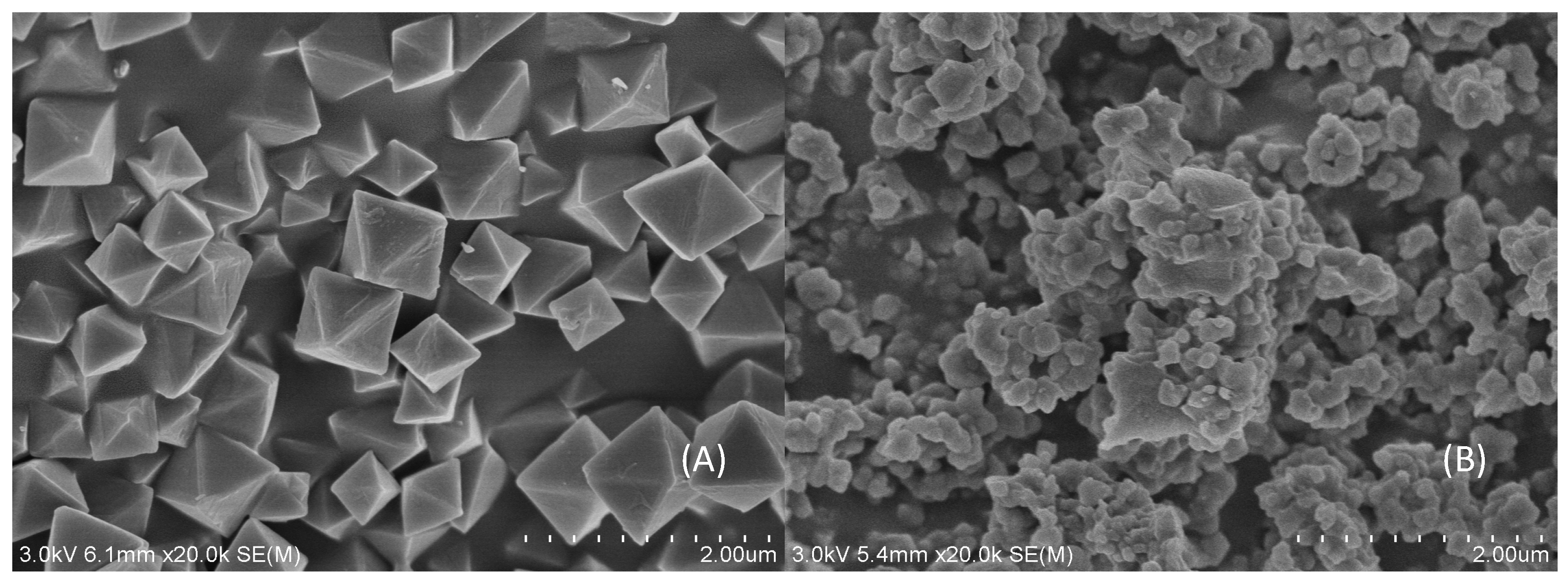Polymers 12 00281 g001 Polymers 12 00281 g001