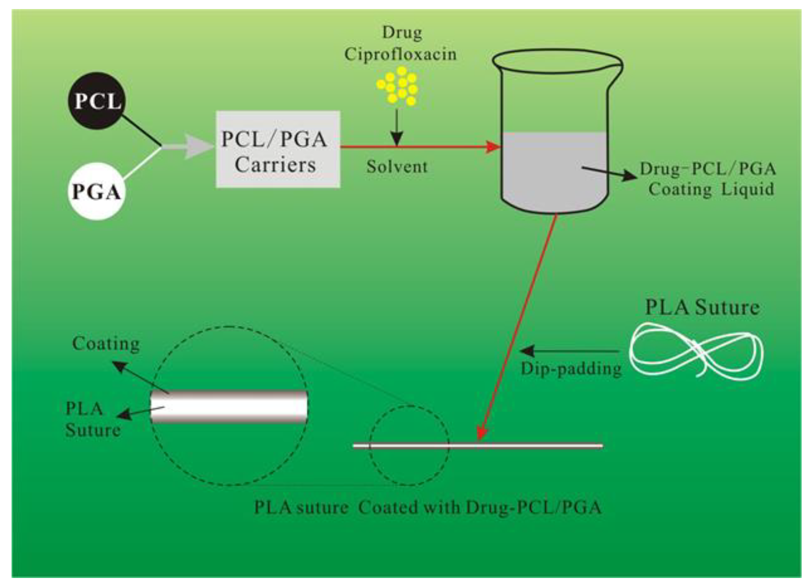 Polymers 12 00288 g001