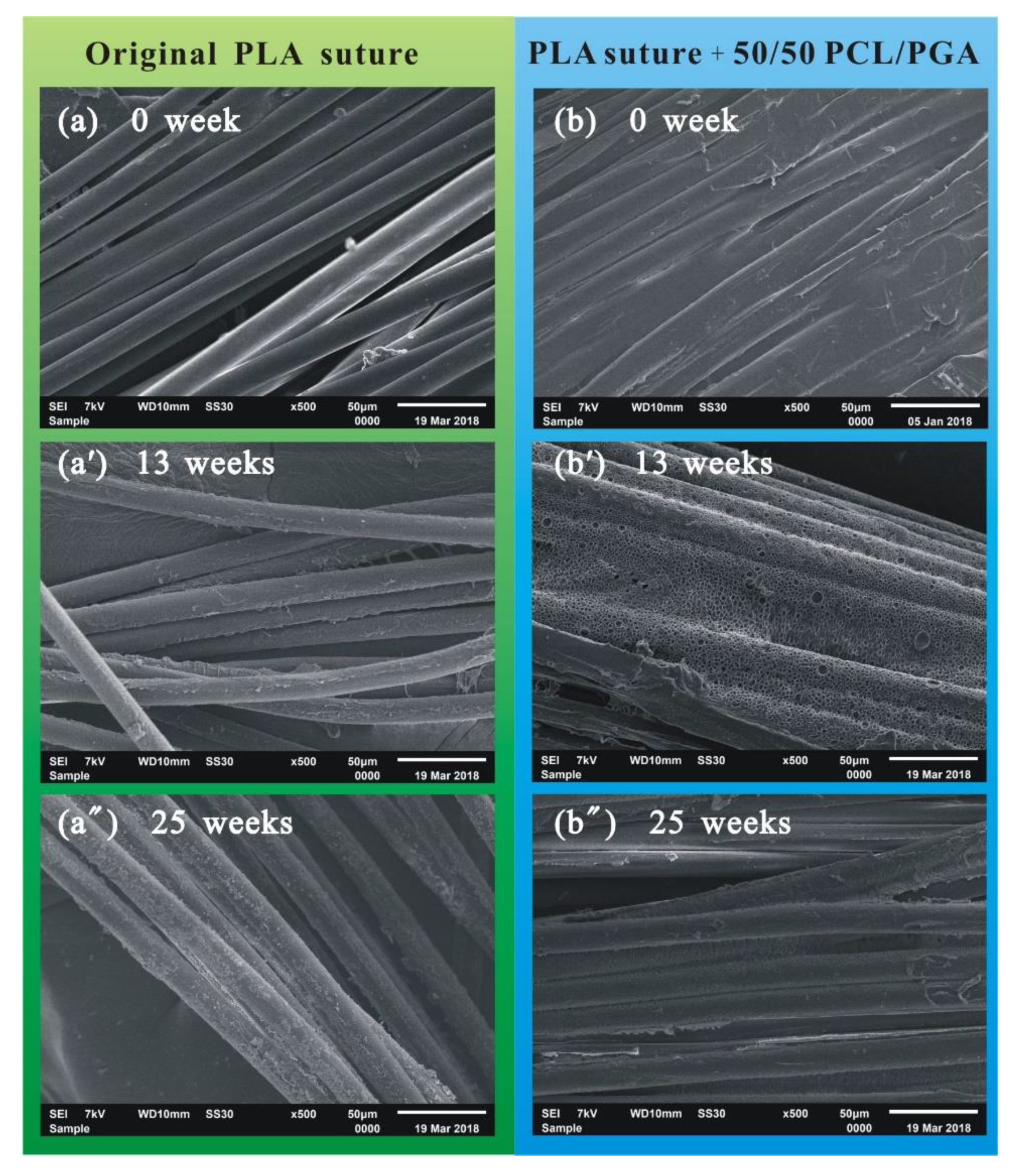 Polymers 12 00288 g005
