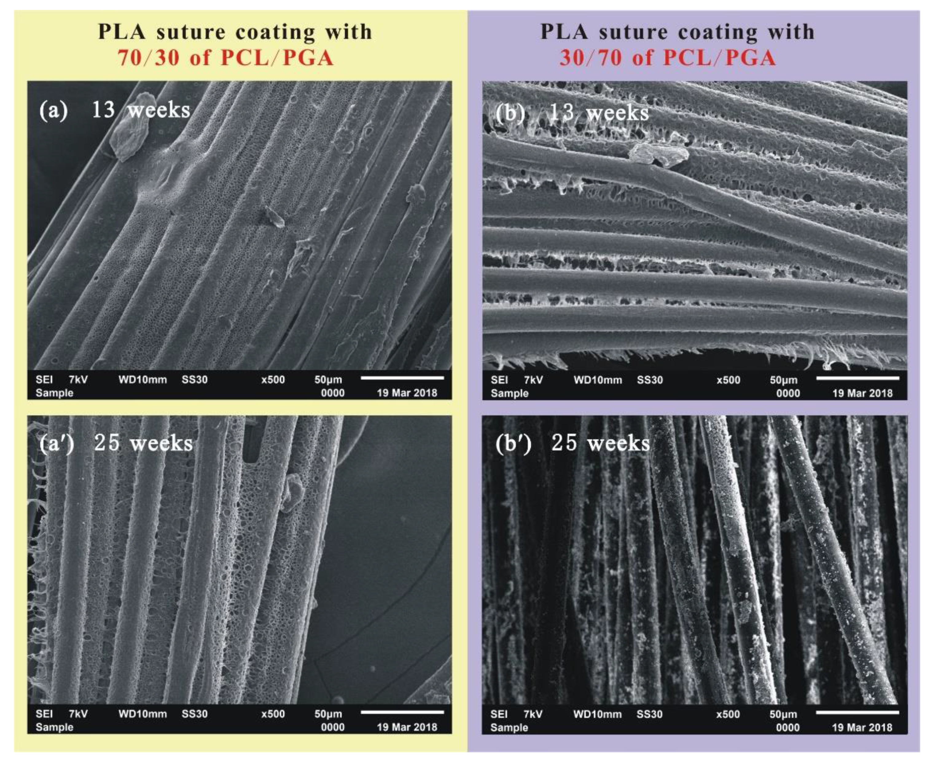 Polymers 12 00288 g006