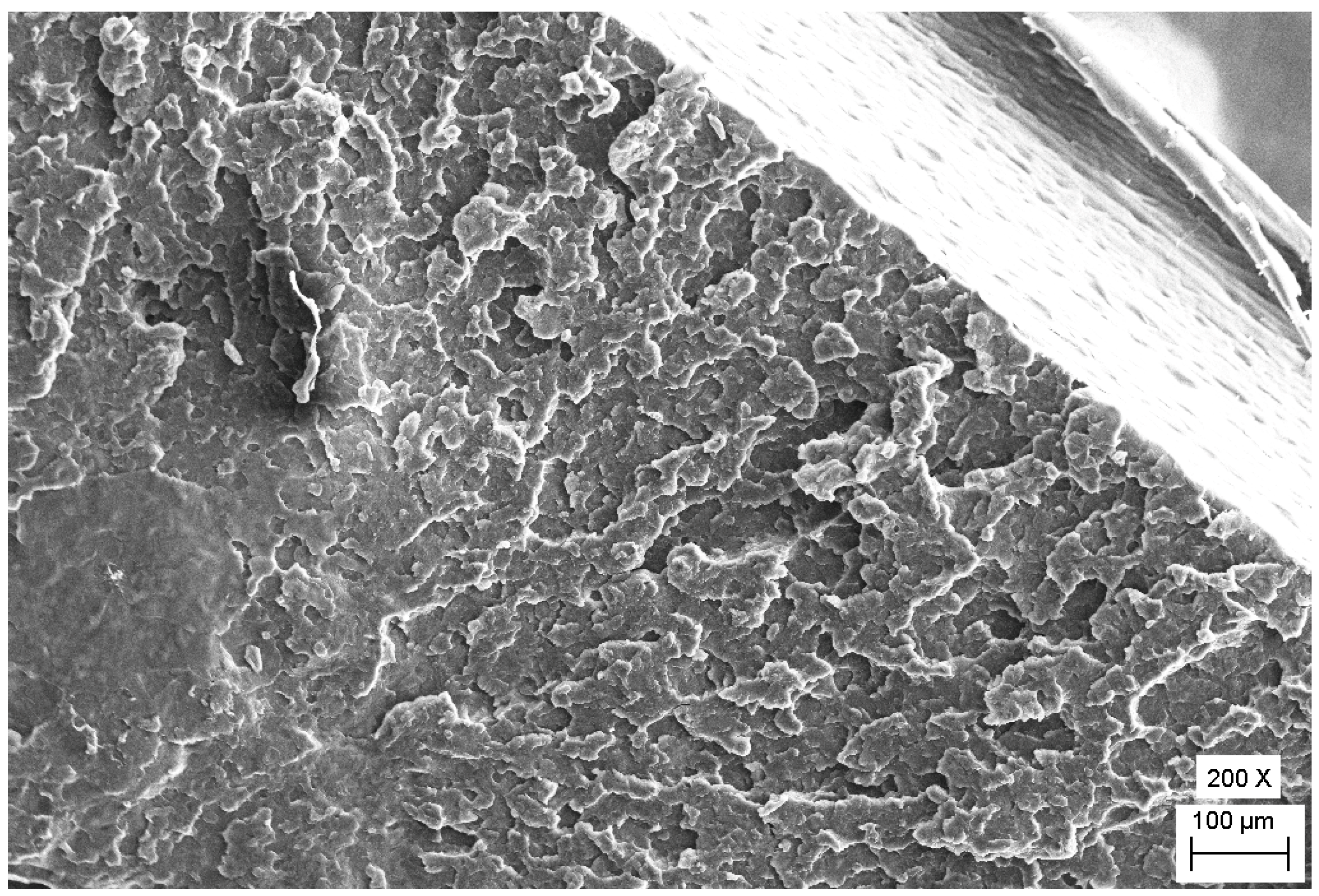 Polymers 12 00293 g005