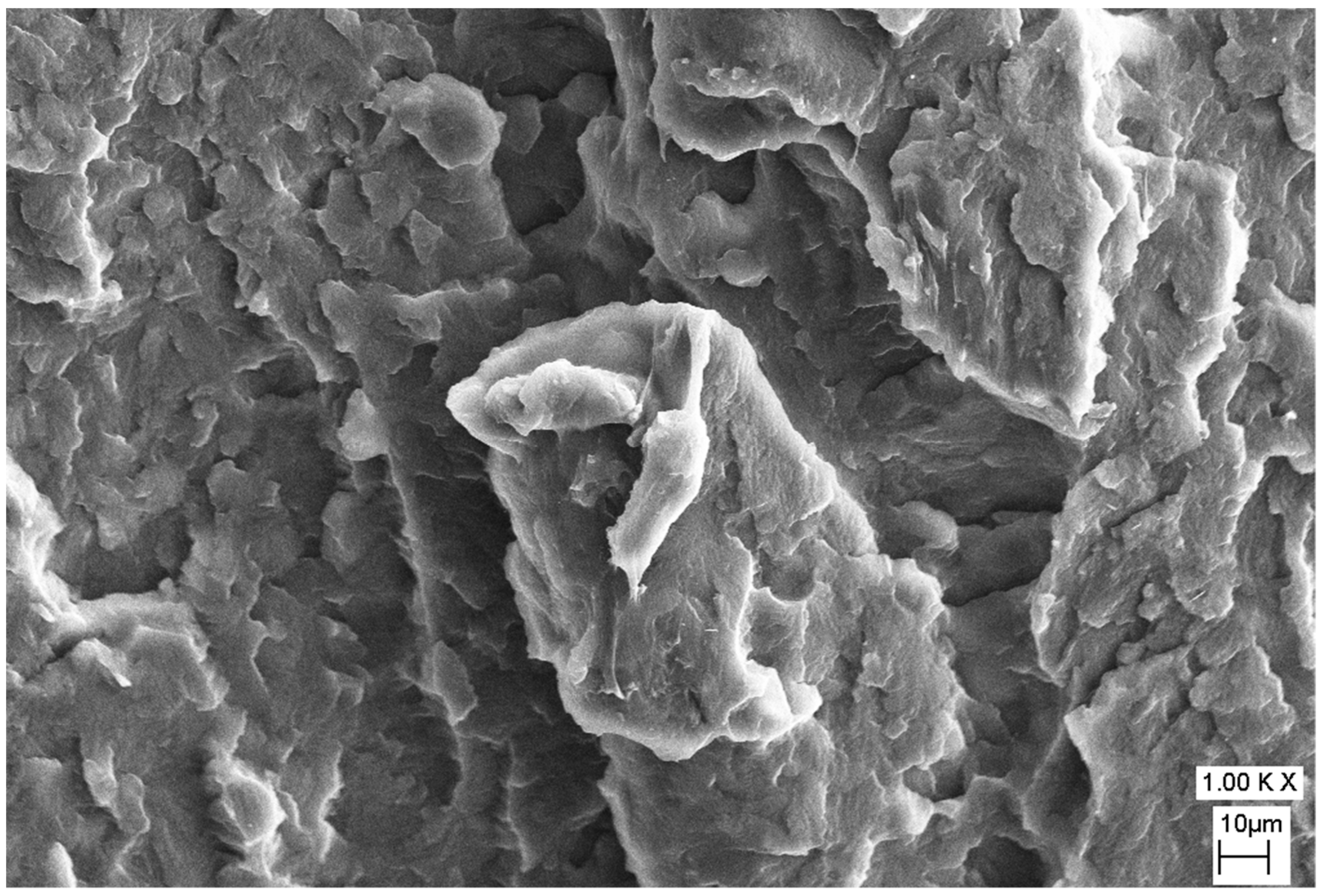 Polymers 12 00293 g0a2