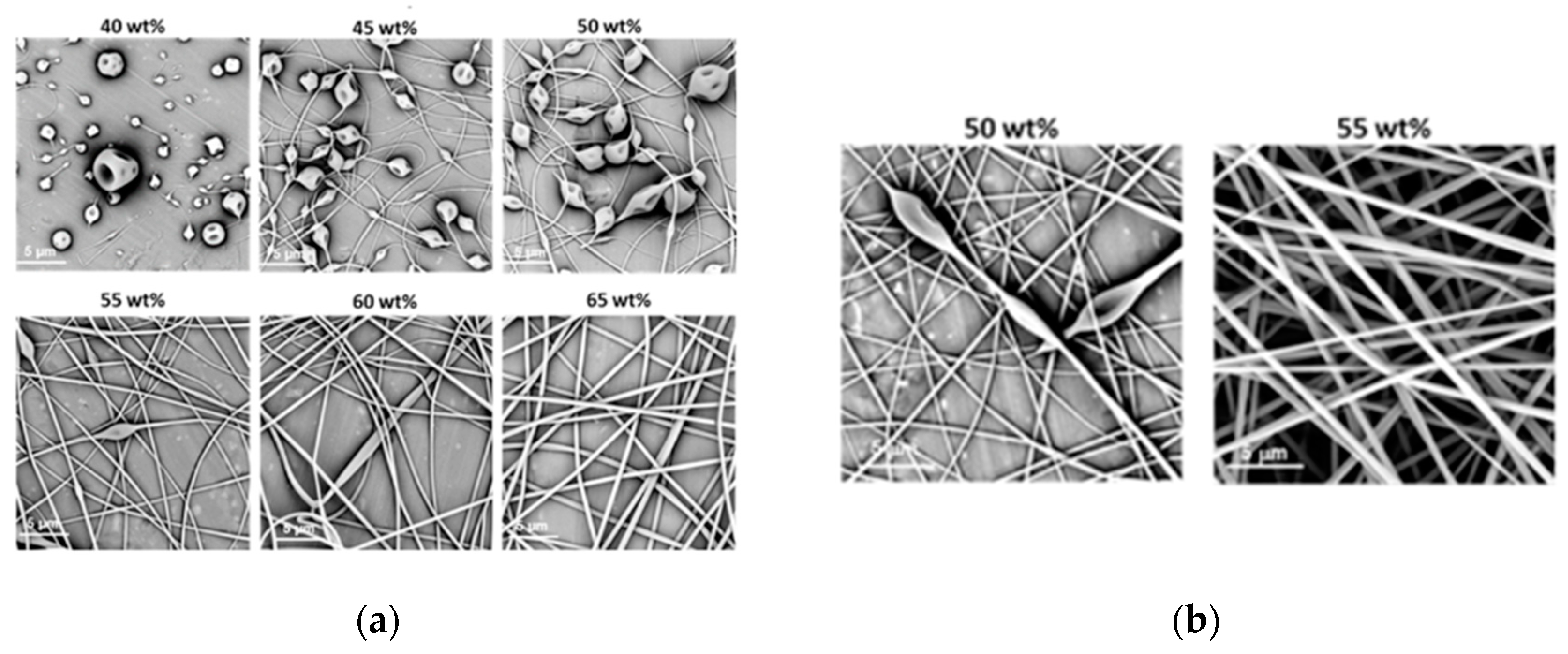 Polymers 12 00295 g002