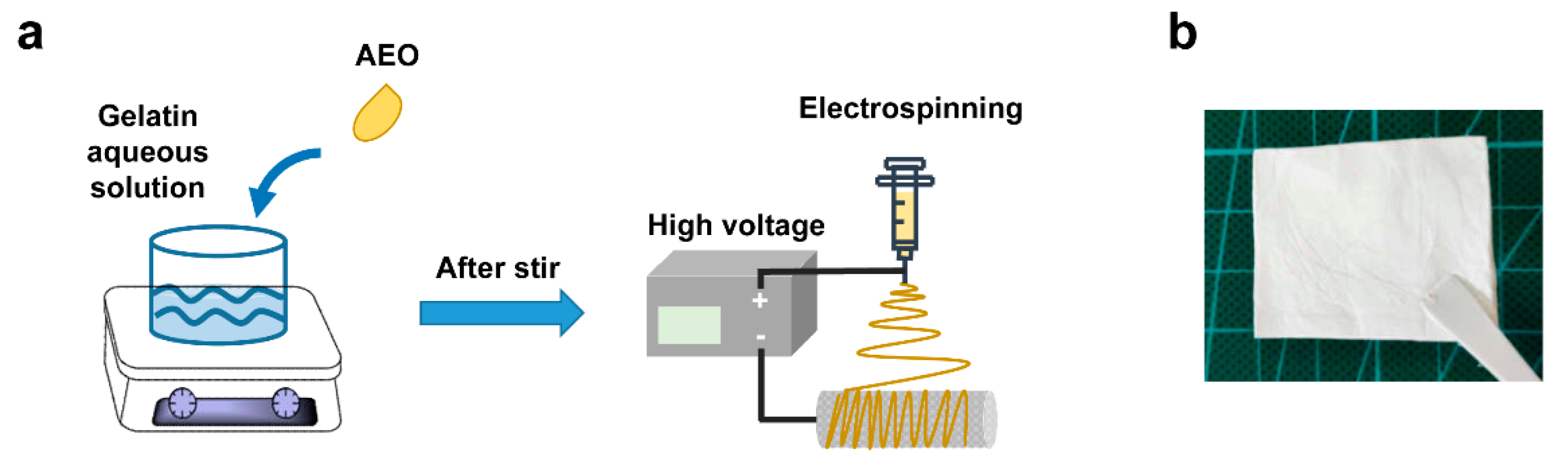 Polymers 12 00299 g001