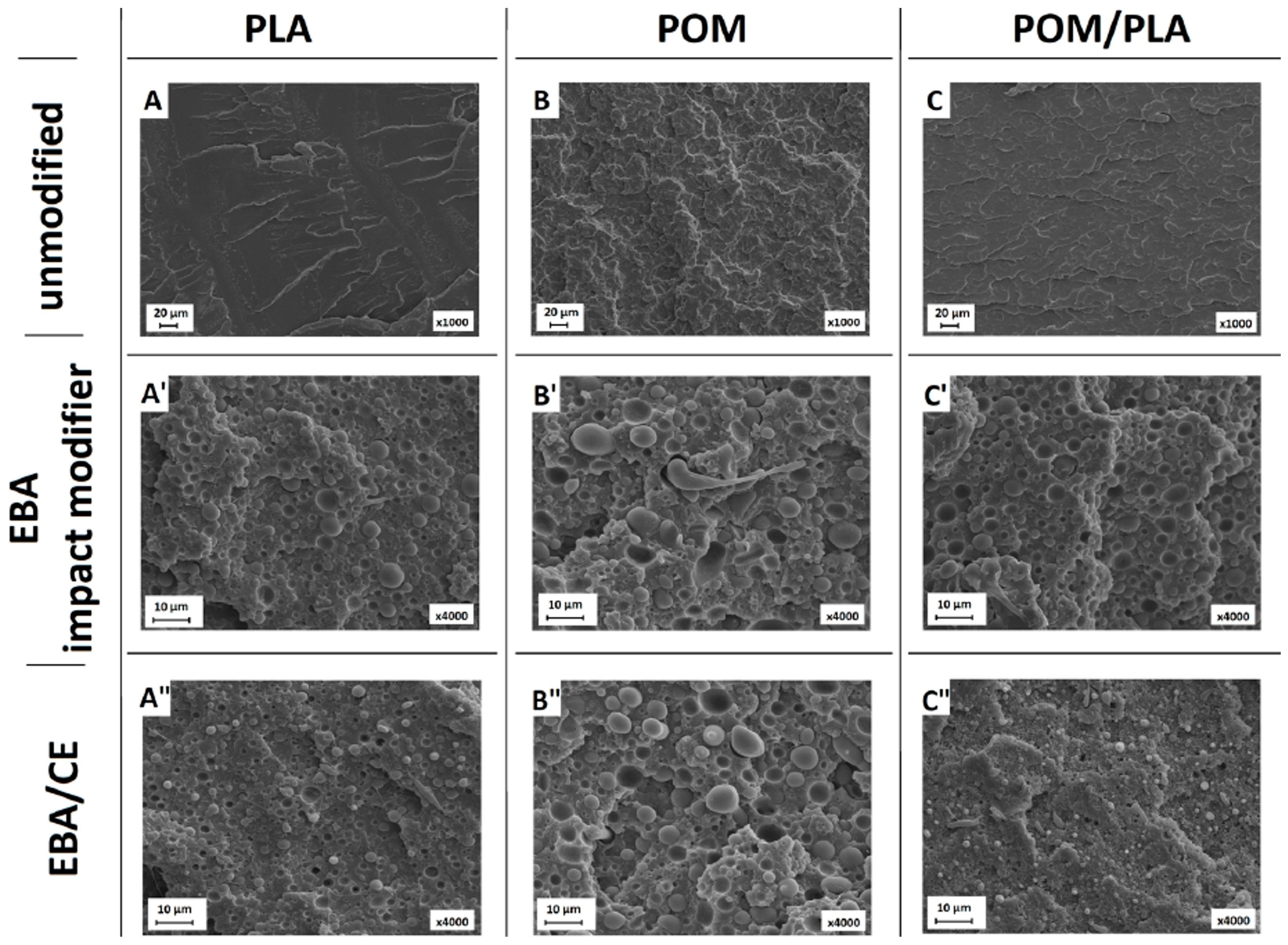 Polymers 12 00307 g010