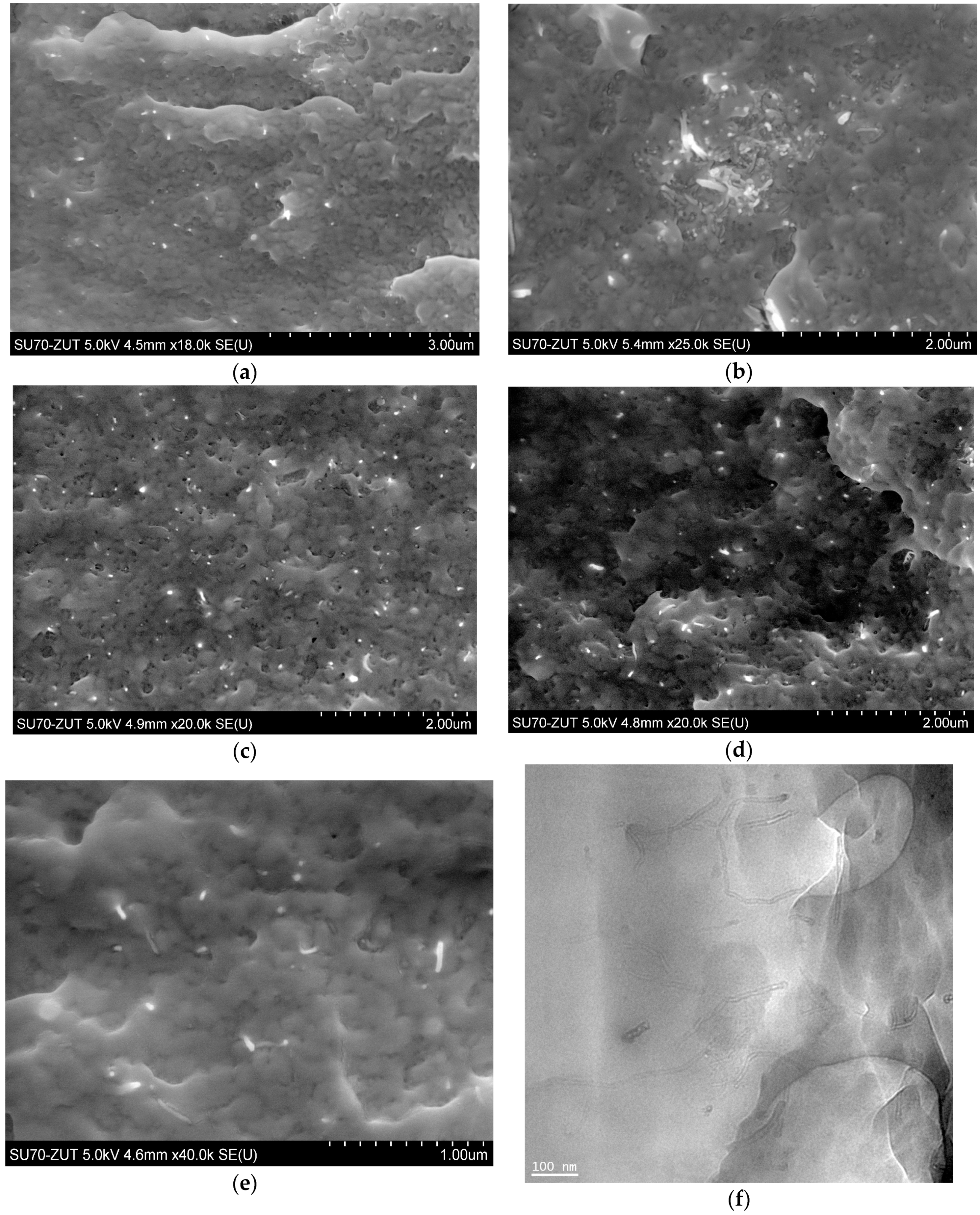 Polymers 12 00308 g005 Polymers 12 00308 g005
