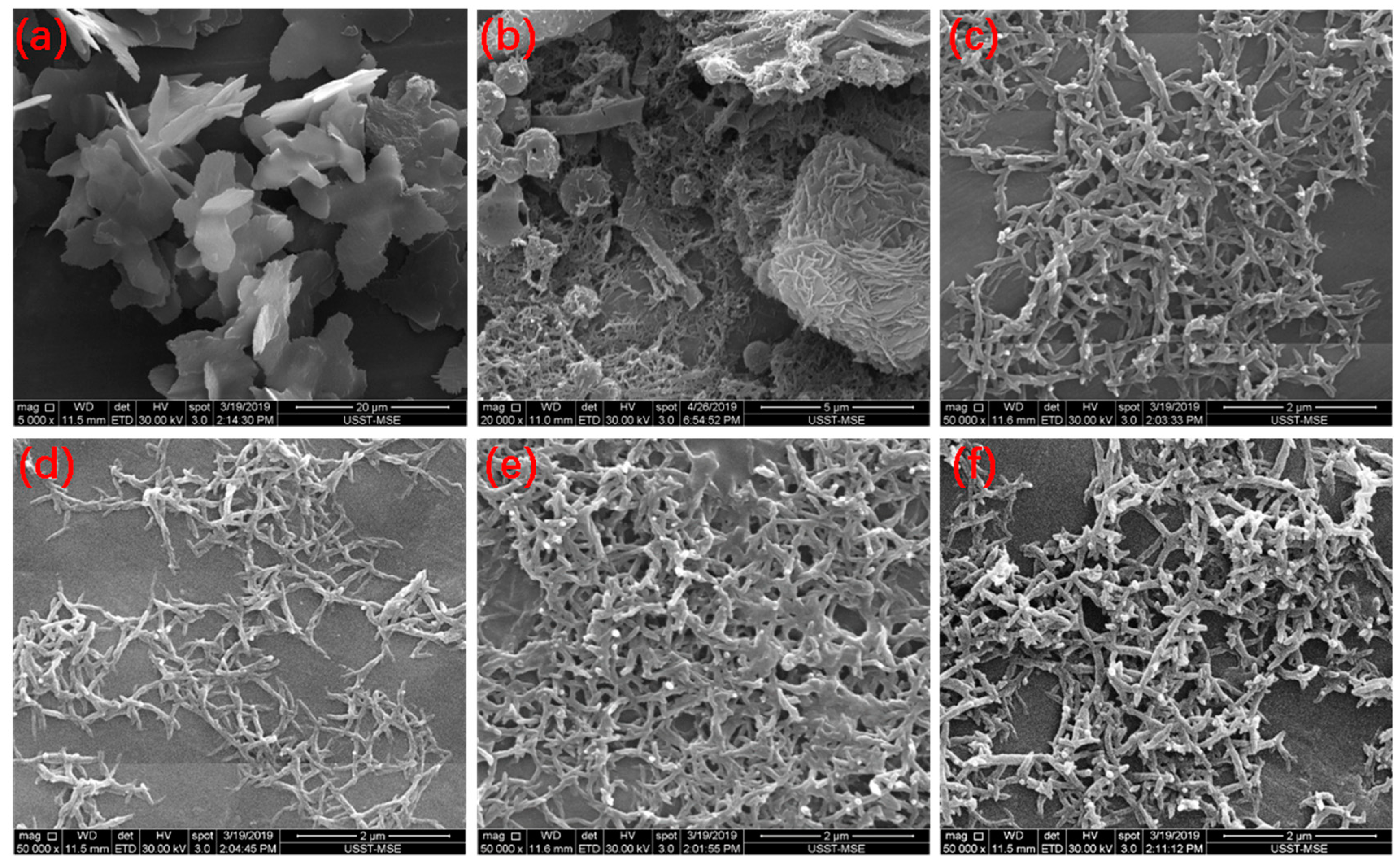 Polymers 12 00310 g003