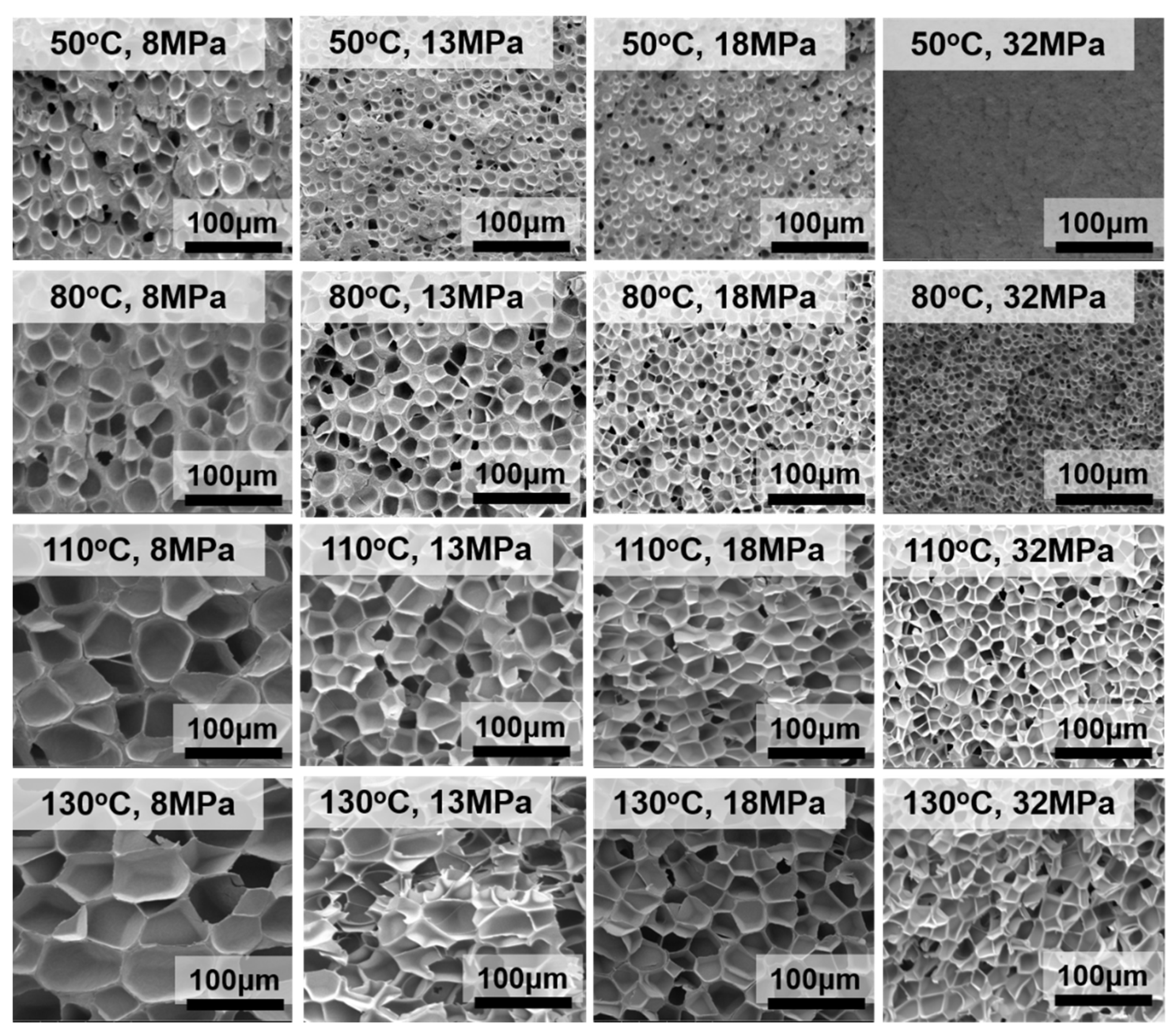 Polymers 12 00315 g002 Polymers 12 00315 g002