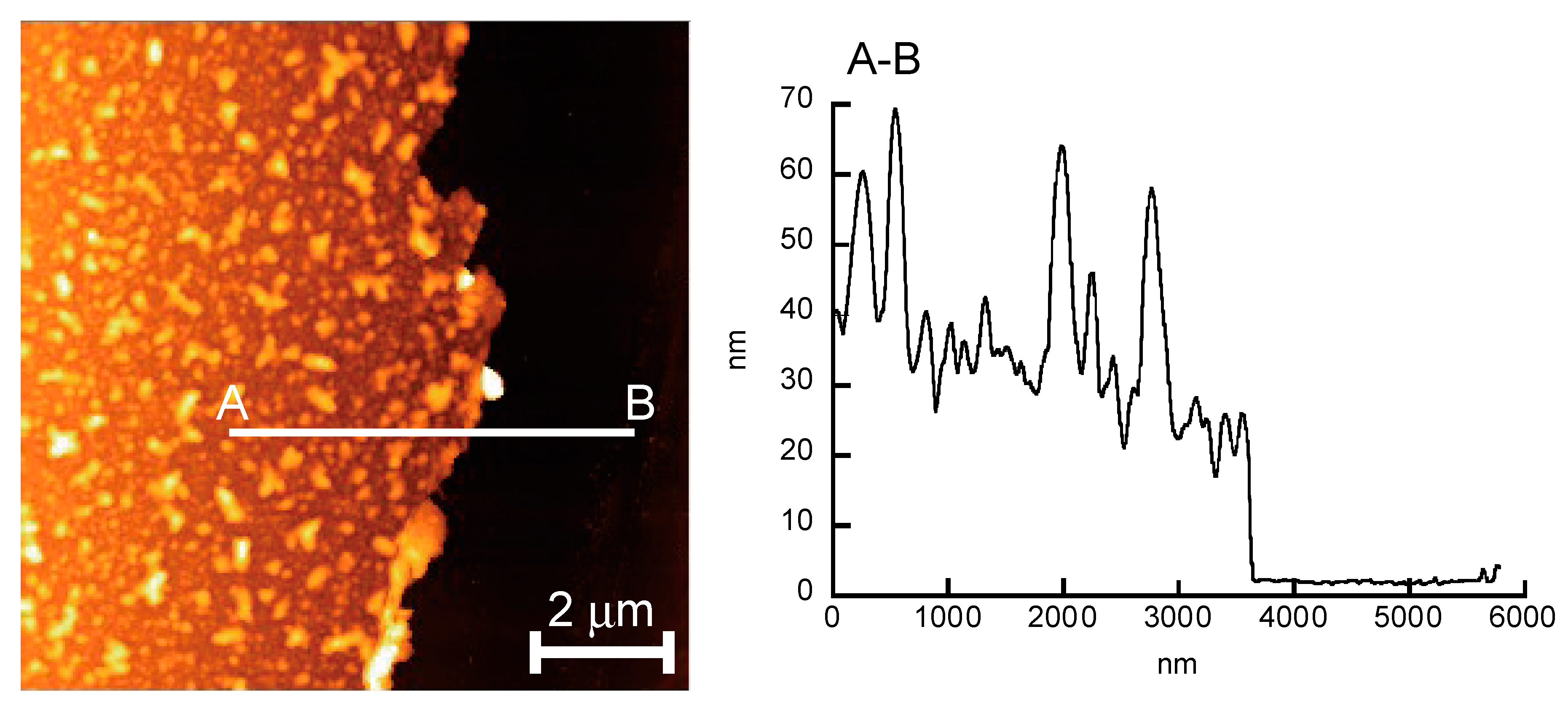 Polymers 12 00319 g004 Polymers 12 00319 g004