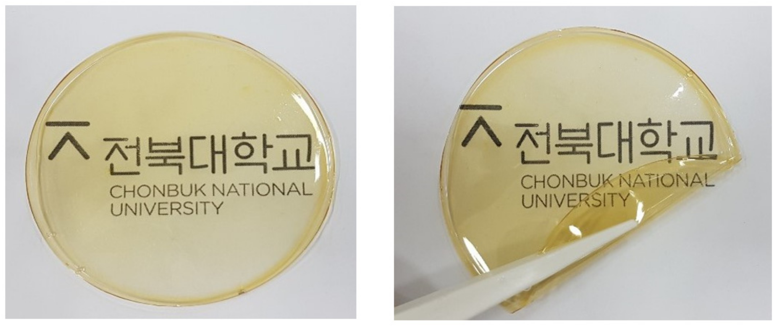 Polymers 12 00325 g001