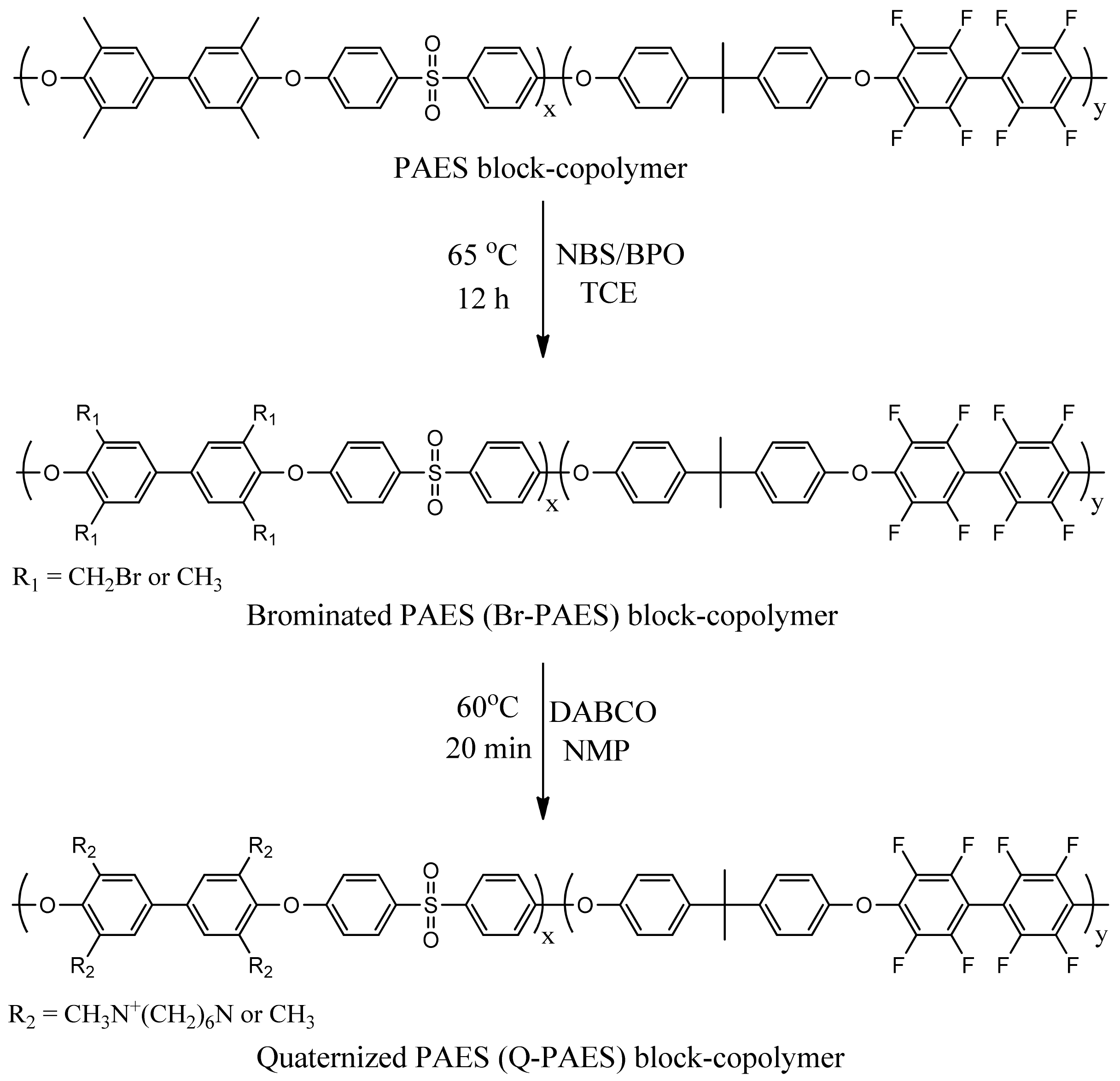 Polymers 12 00325 sch002