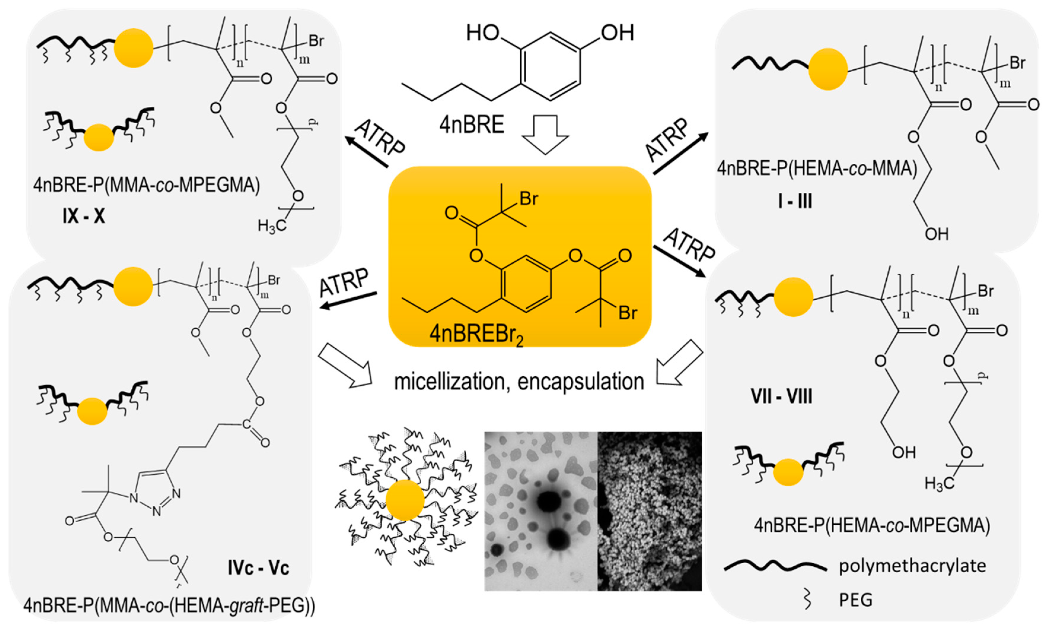 Polymers 12 00330 g001