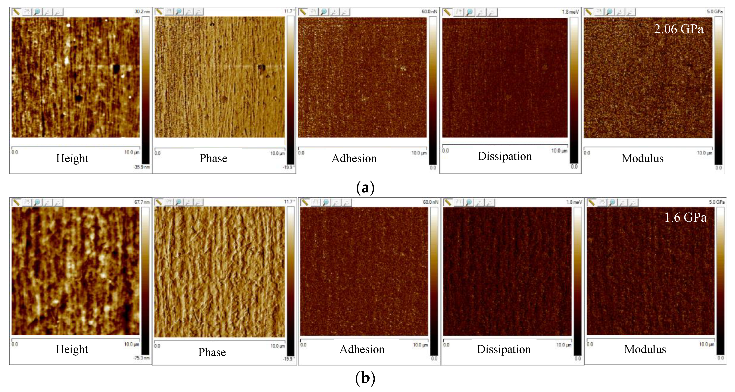 Polymers 12 00341 g008