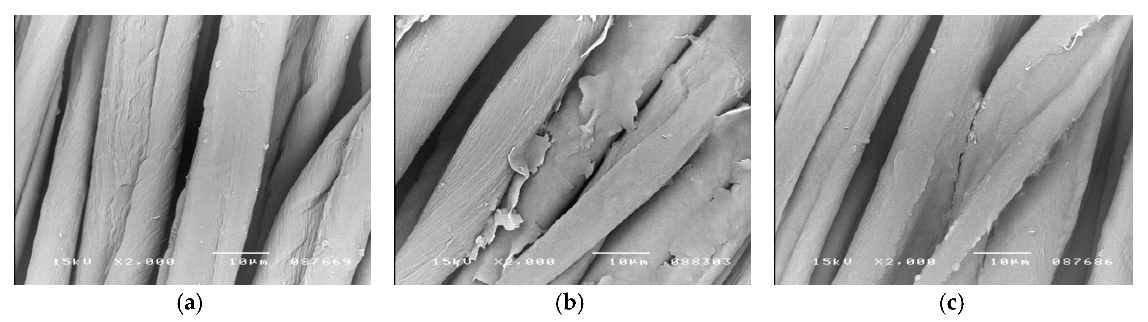 Polymers 12 00344 g001 Polymers 12 00344 g001