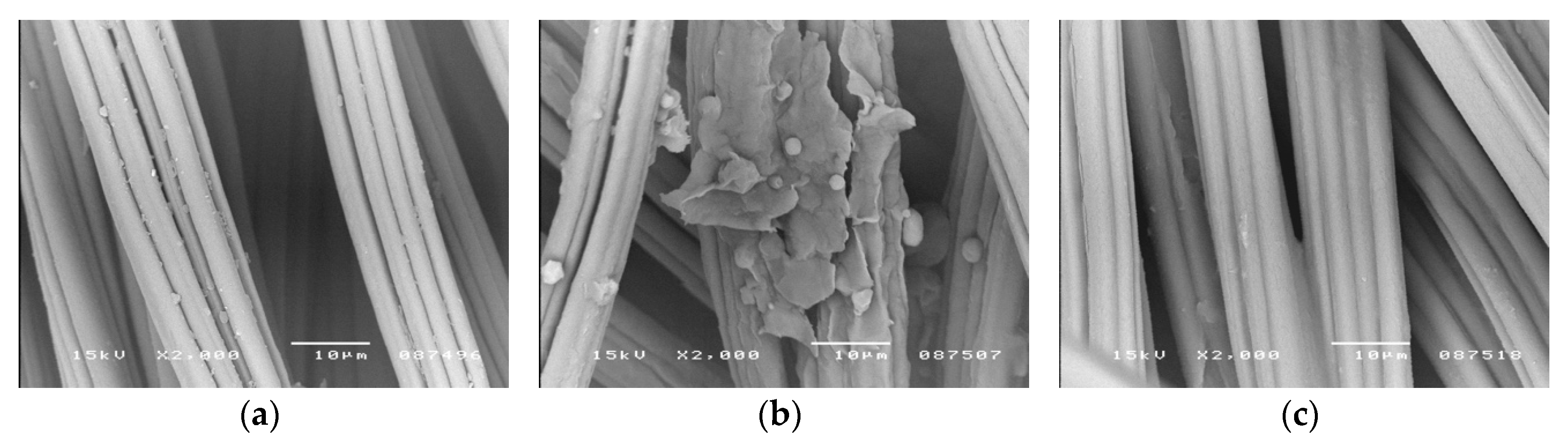 Polymers 12 00344 g003 Polymers 12 00344 g003
