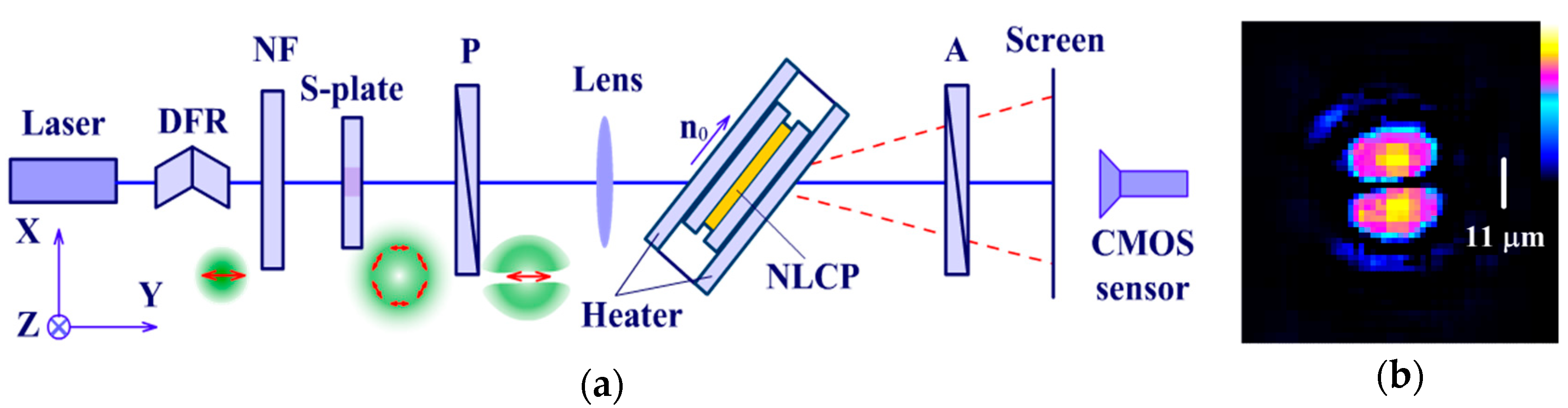 Polymers 12 00356 g001