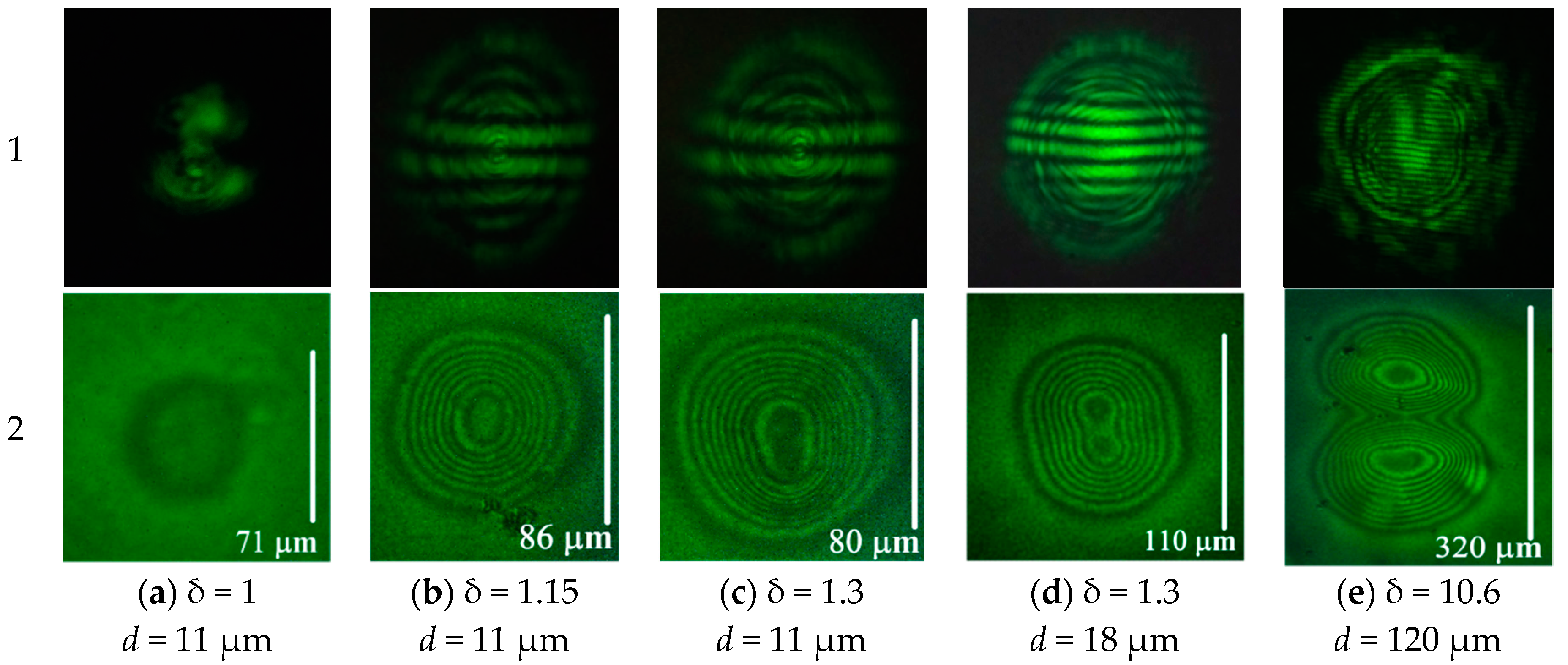 Polymers 12 00356 g005