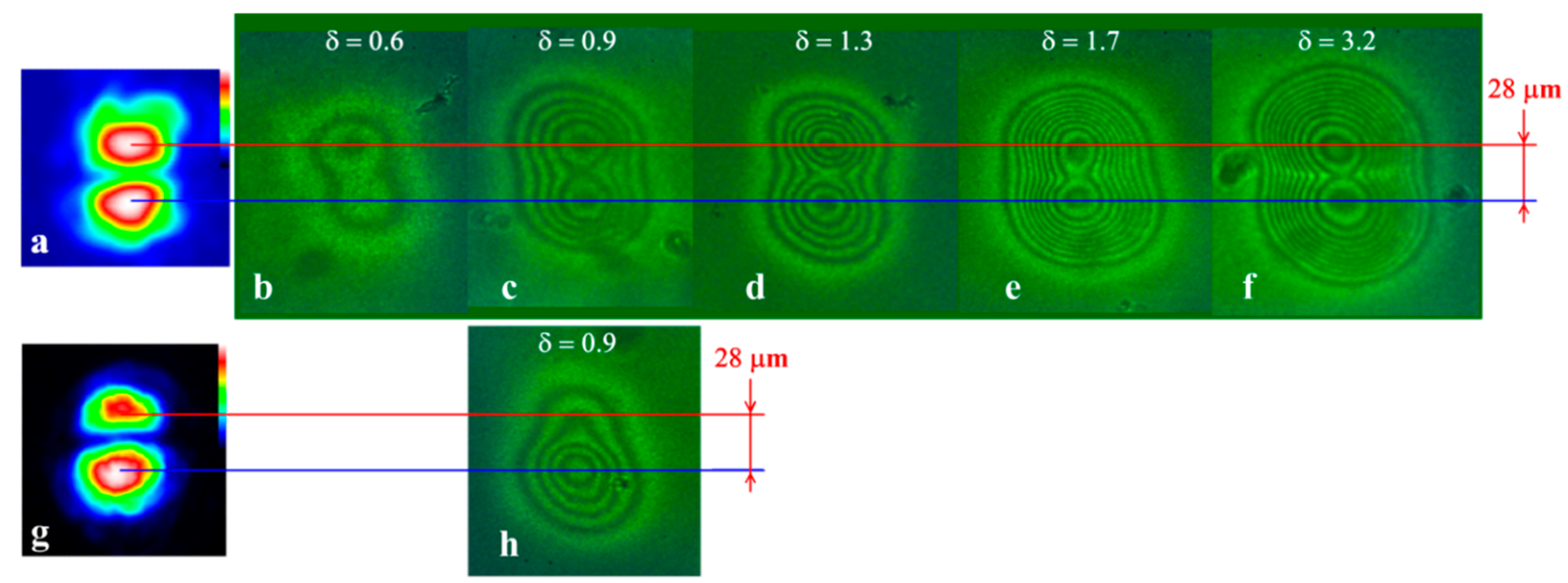 Polymers 12 00356 g007