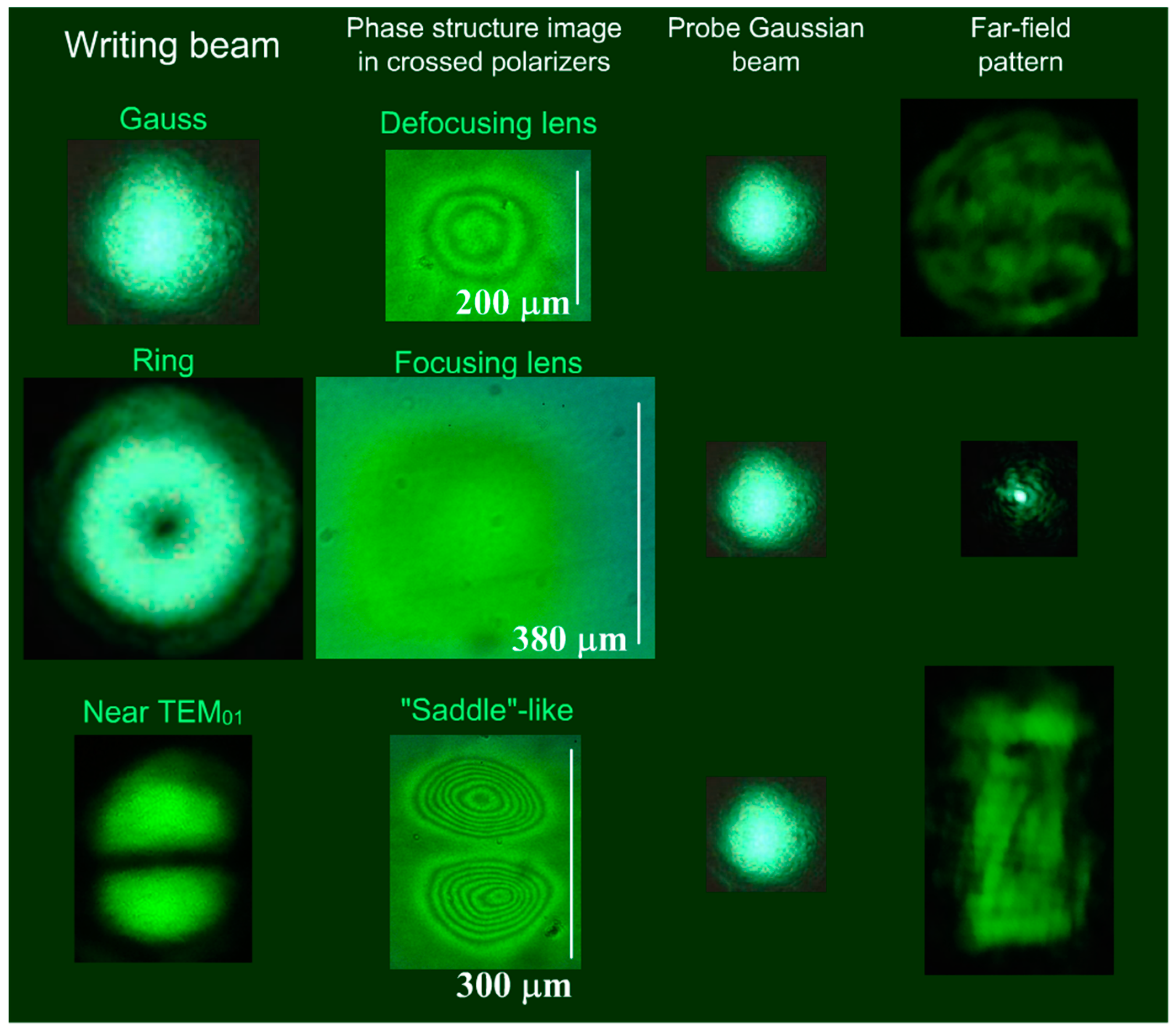 Polymers 12 00356 g009