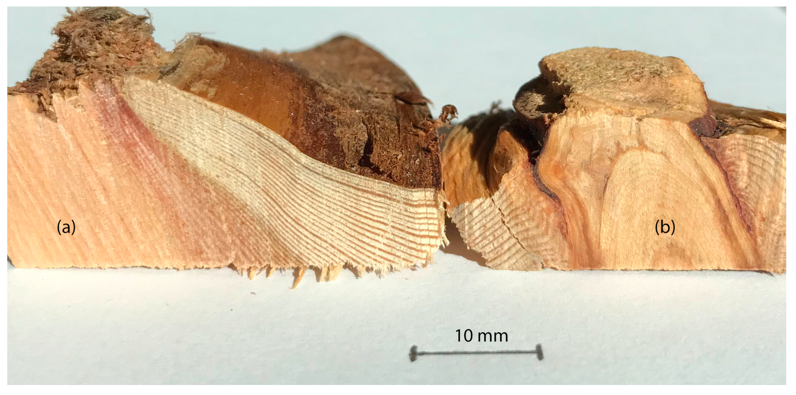 Polymers 12 00359 g001
