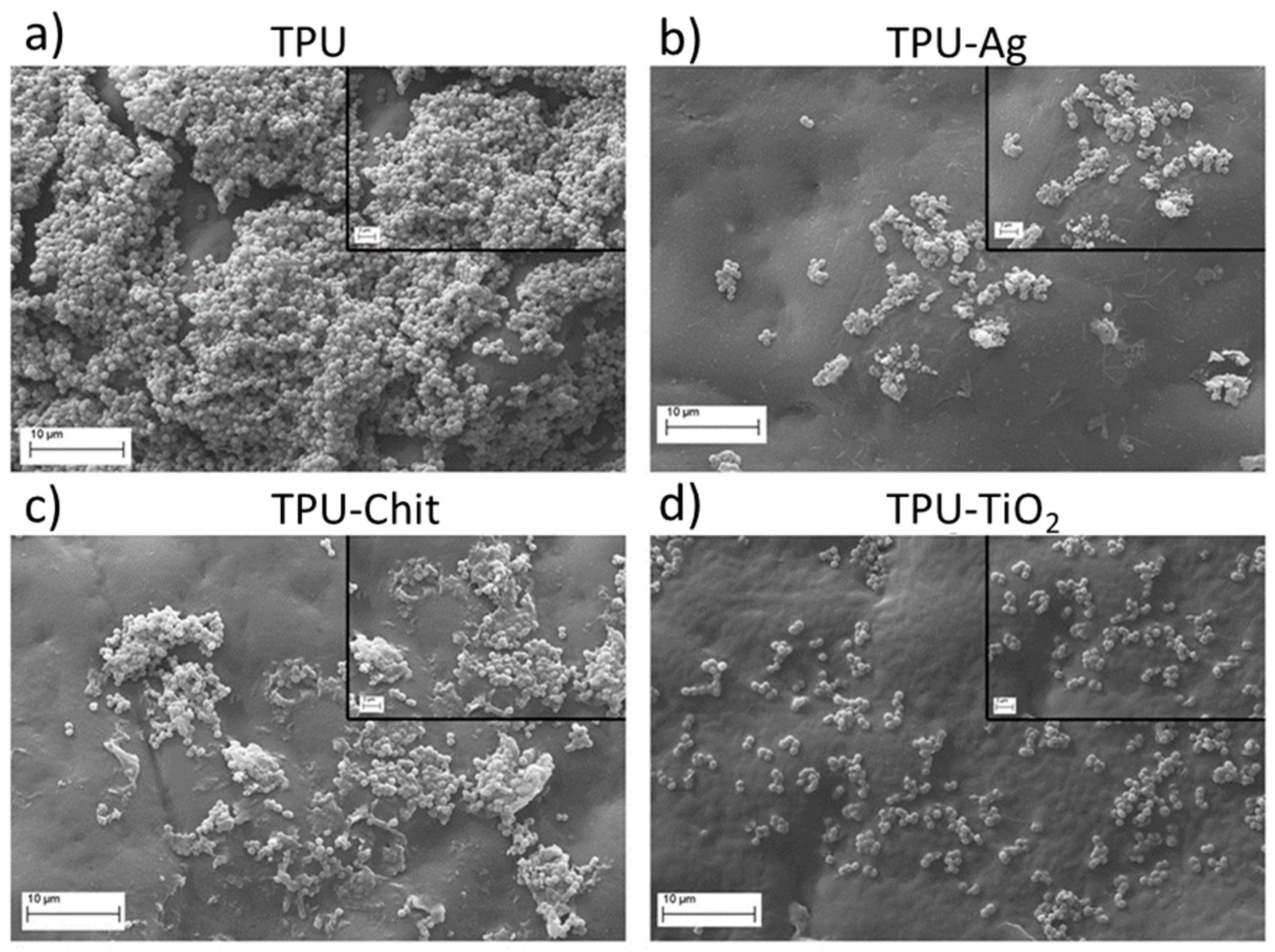 Polymers 12 00362 g014 Polymers 12 00362 g014