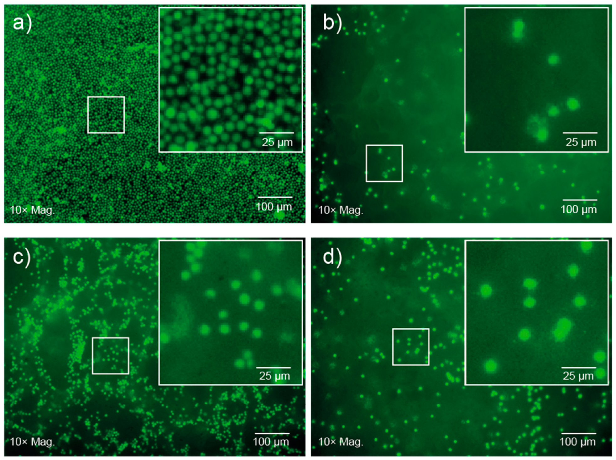 Polymers 12 00367 g006 Polymers 12 00367 g006