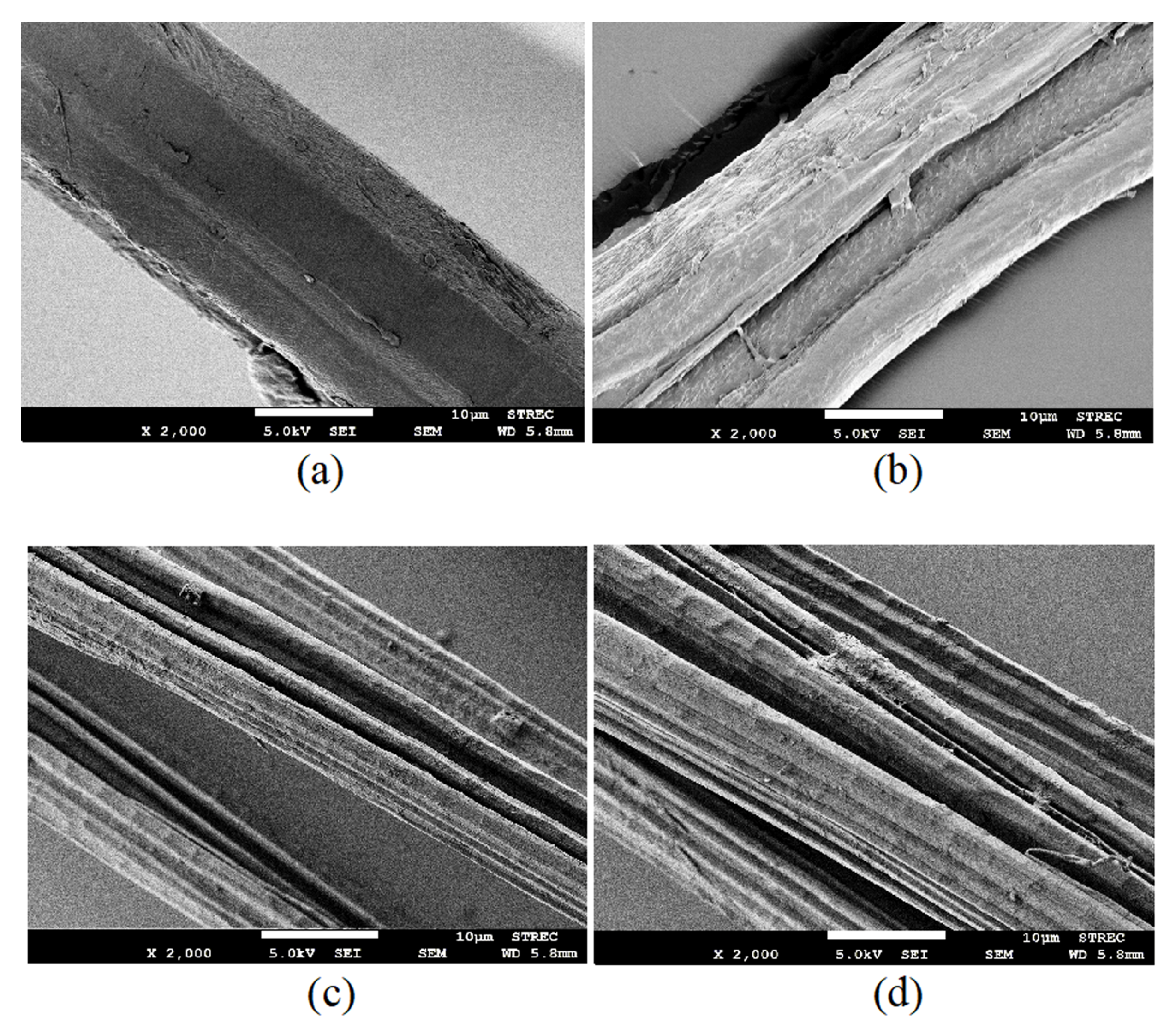 Polymers 12 00369 g003 Polymers 12 00369 g003