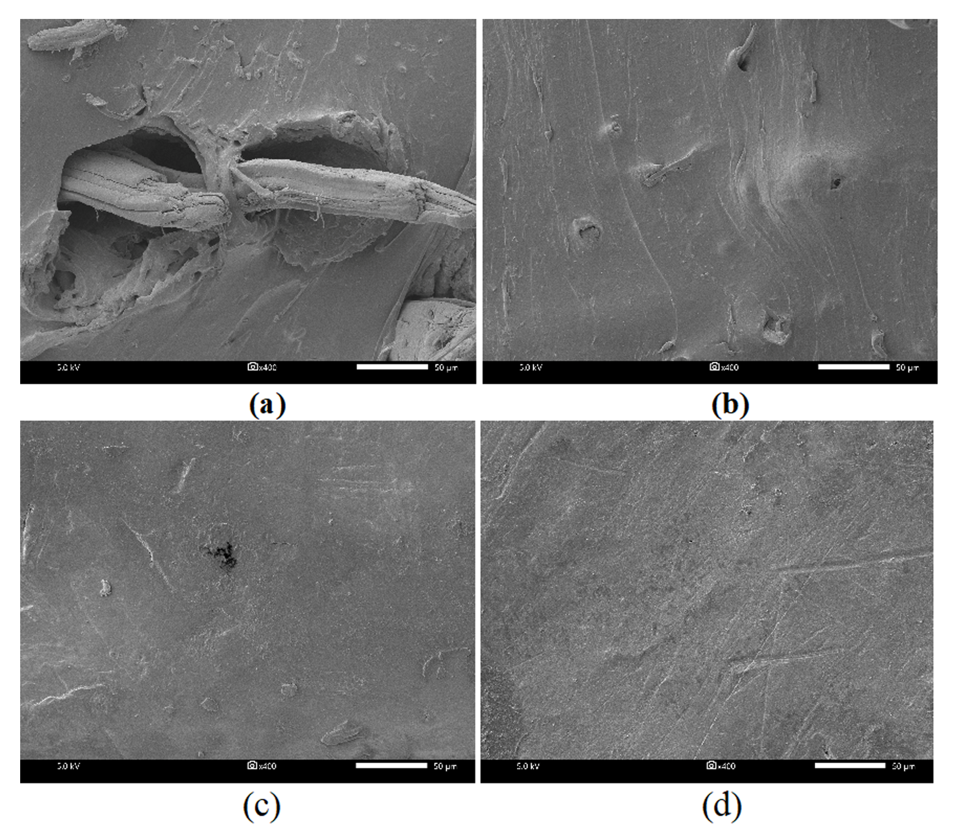 Polymers 12 00369 g007 Polymers 12 00369 g007