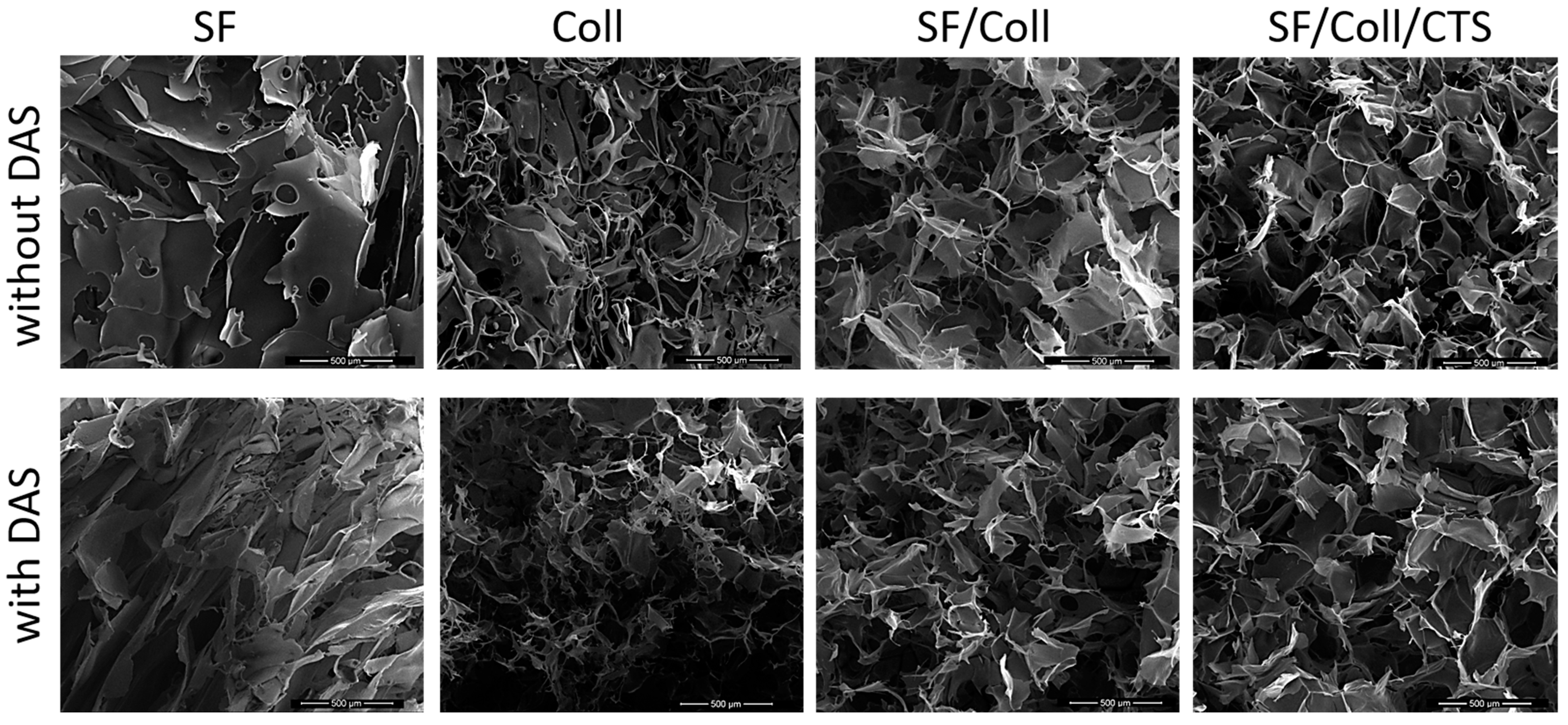 Polymers 12 00372 g001