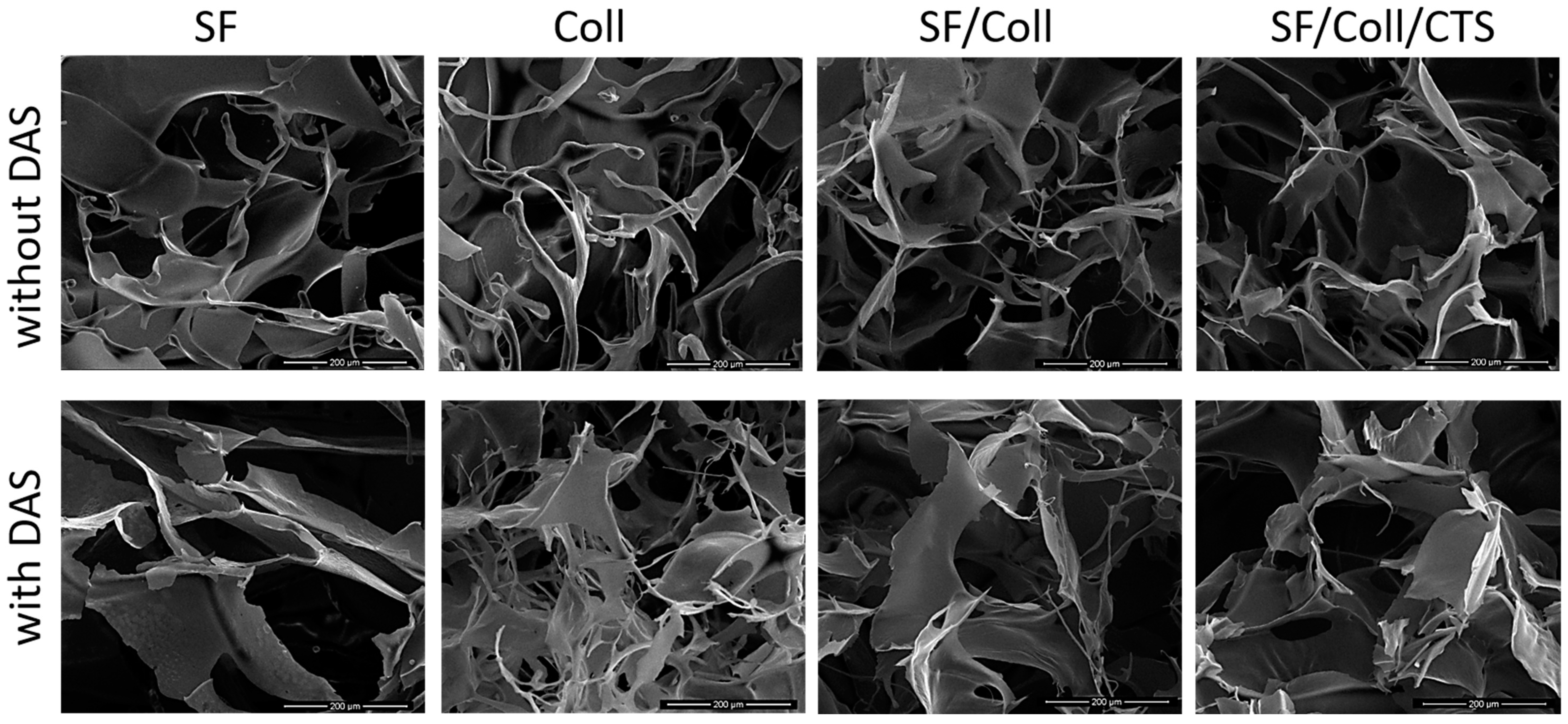 Polymers 12 00372 g002