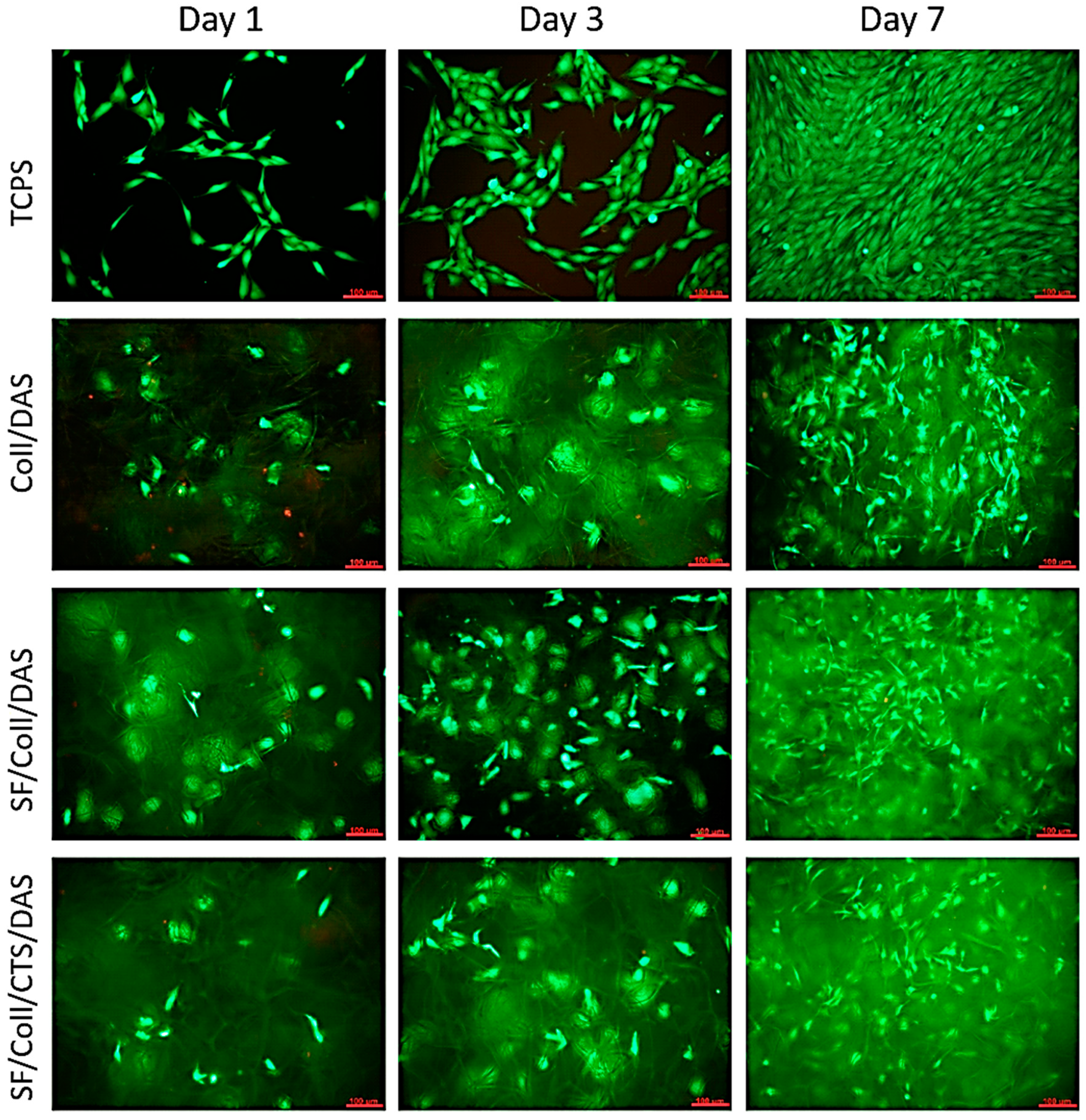 Polymers 12 00372 g004