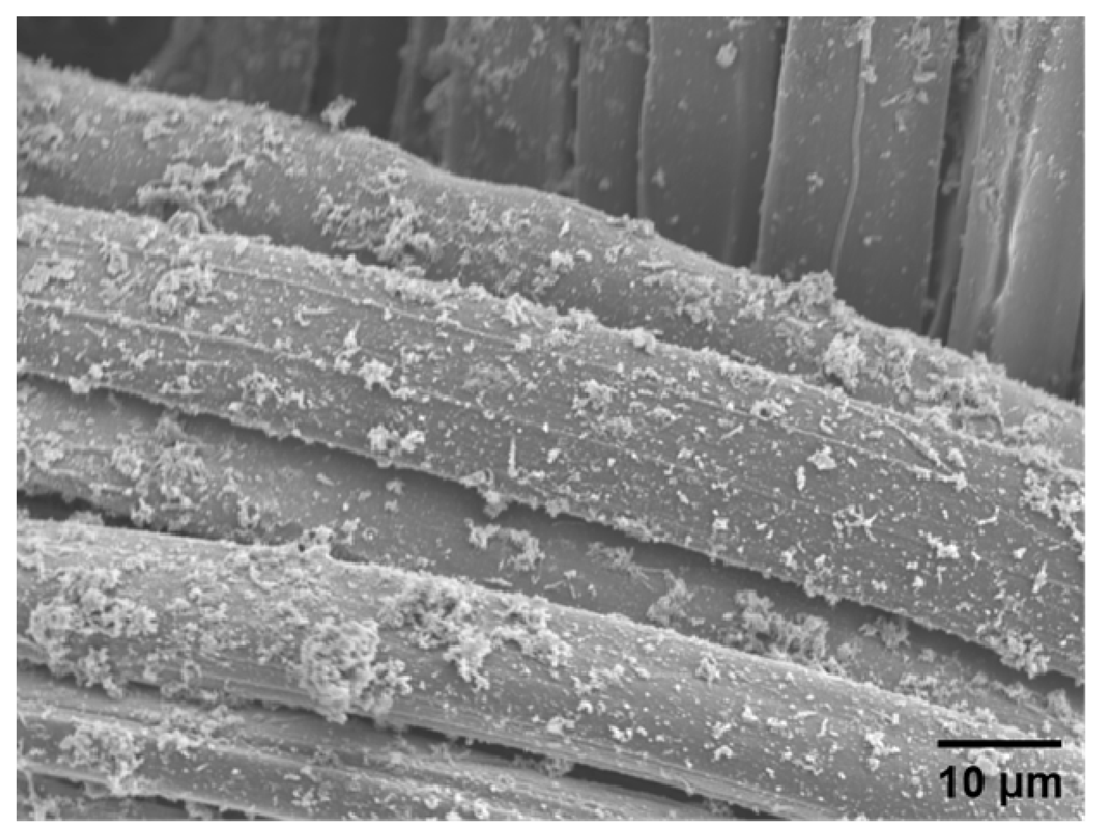 Polymers 12 00375 g005