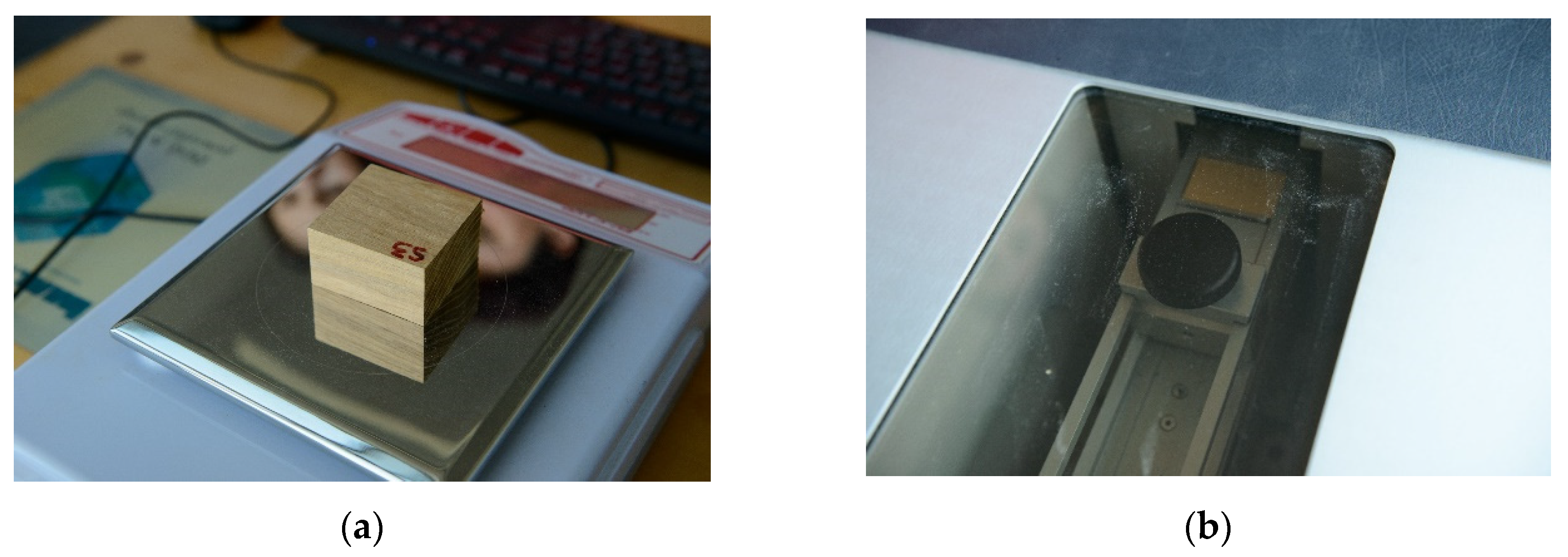 Polymers 12 00377 g002