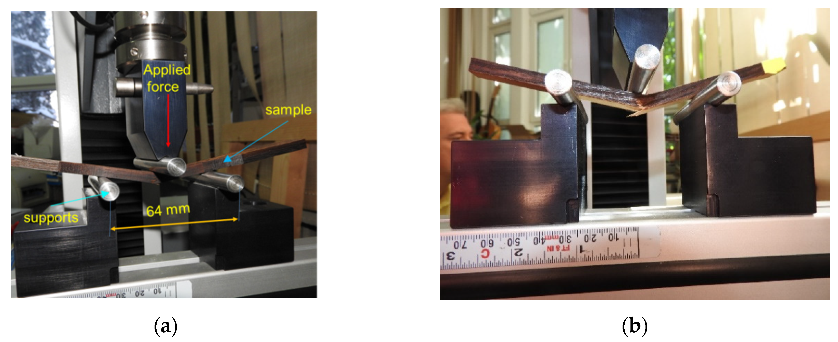 Polymers 12 00377 g003