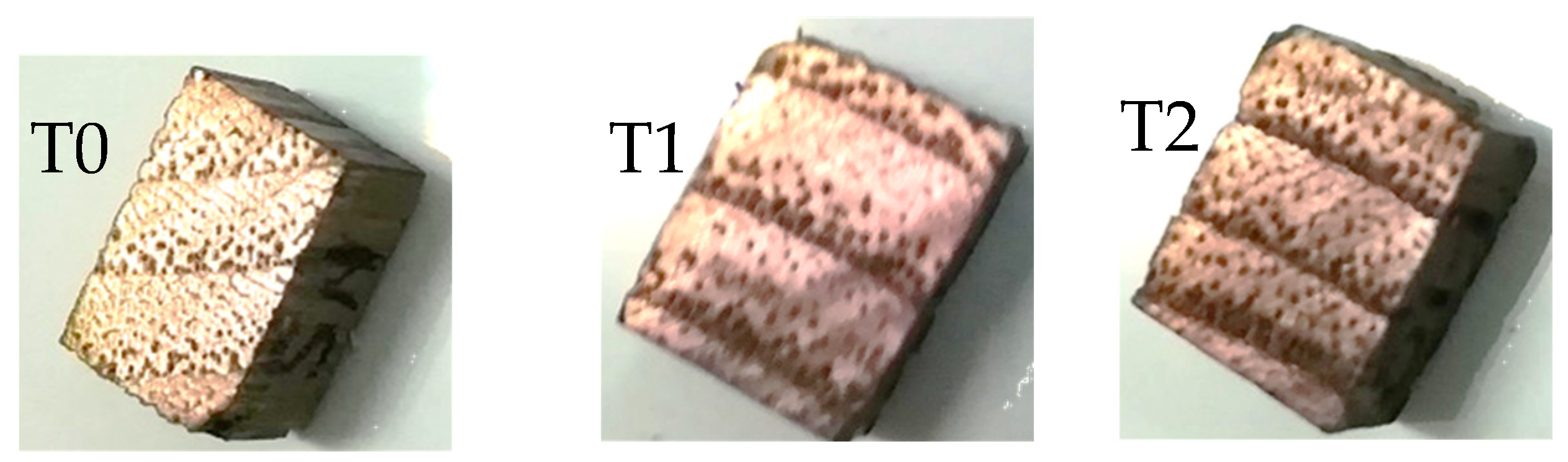 Polymers 12 00377 g005