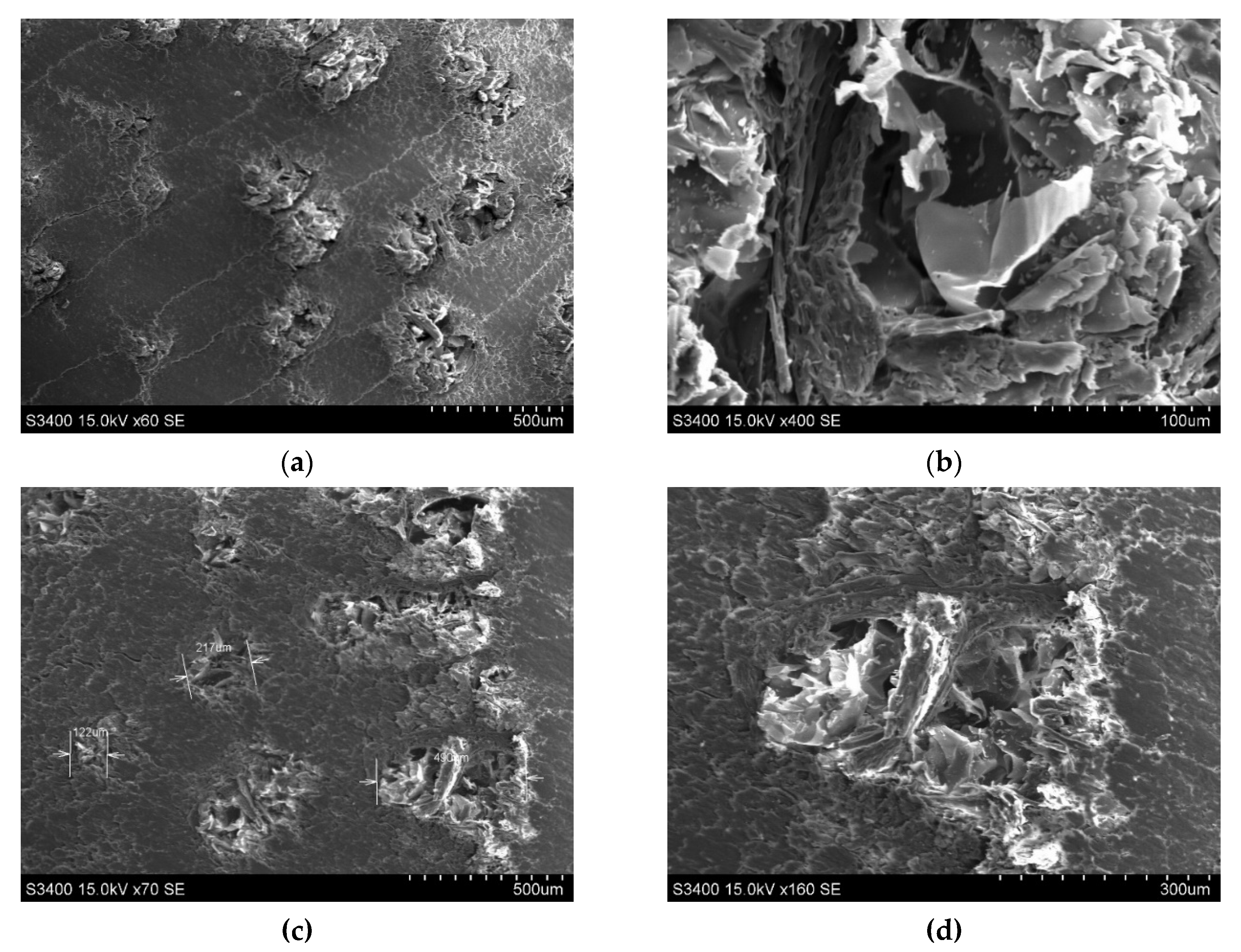 Polymers 12 00377 g016a