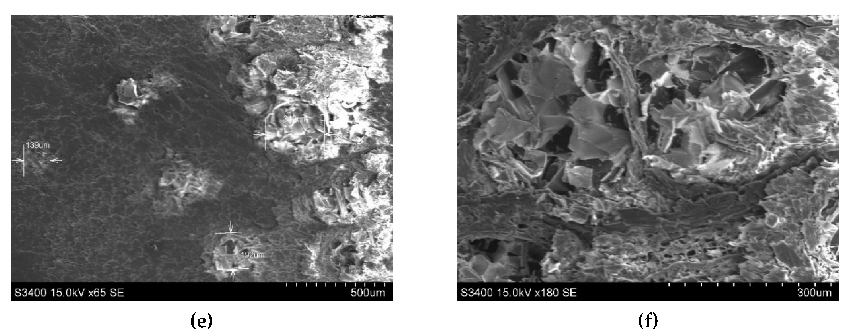 Polymers 12 00377 g016b