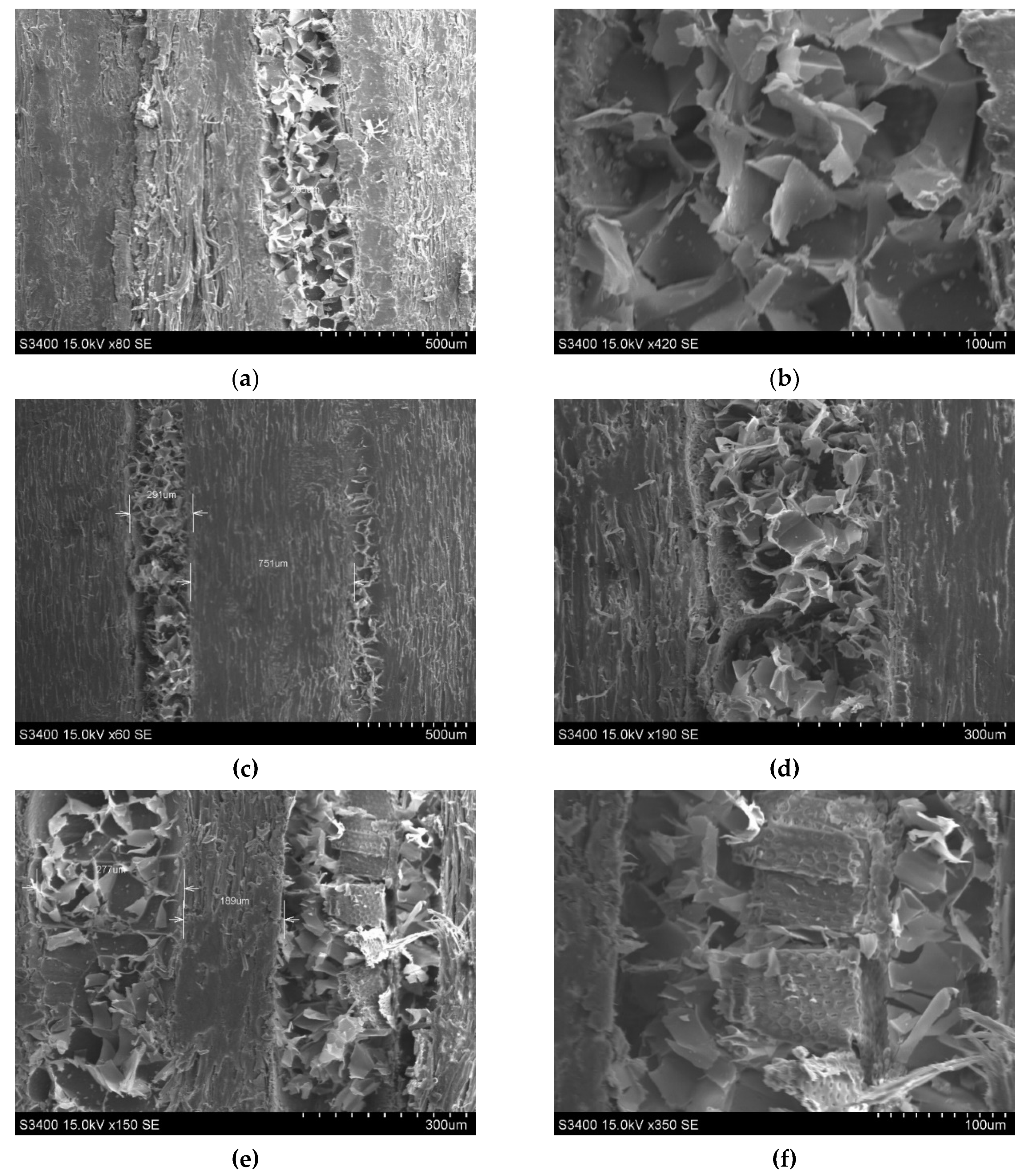 Polymers 12 00377 g017