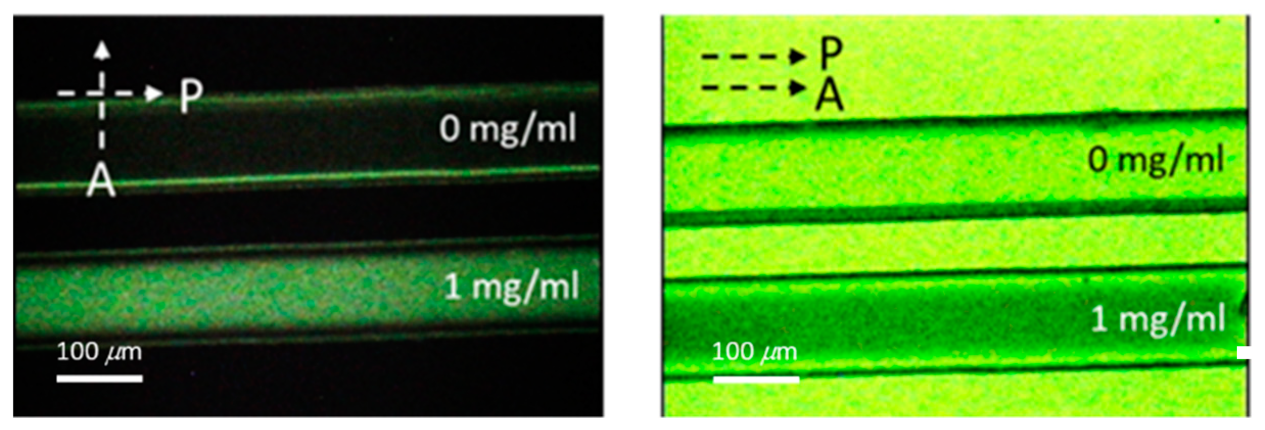 Polymers 12 00395 g002